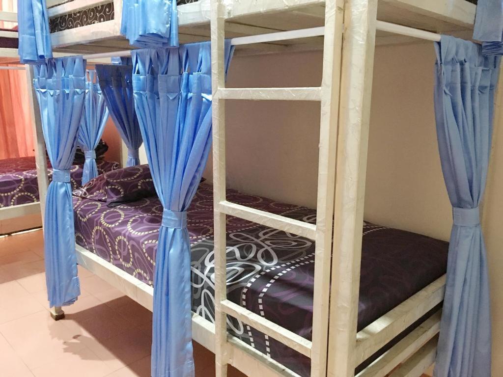 Bunk Bed in Mixed Dormitory Room photo 1