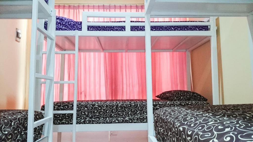 Bunk Bed in Mixed Dormitory Room photo 2