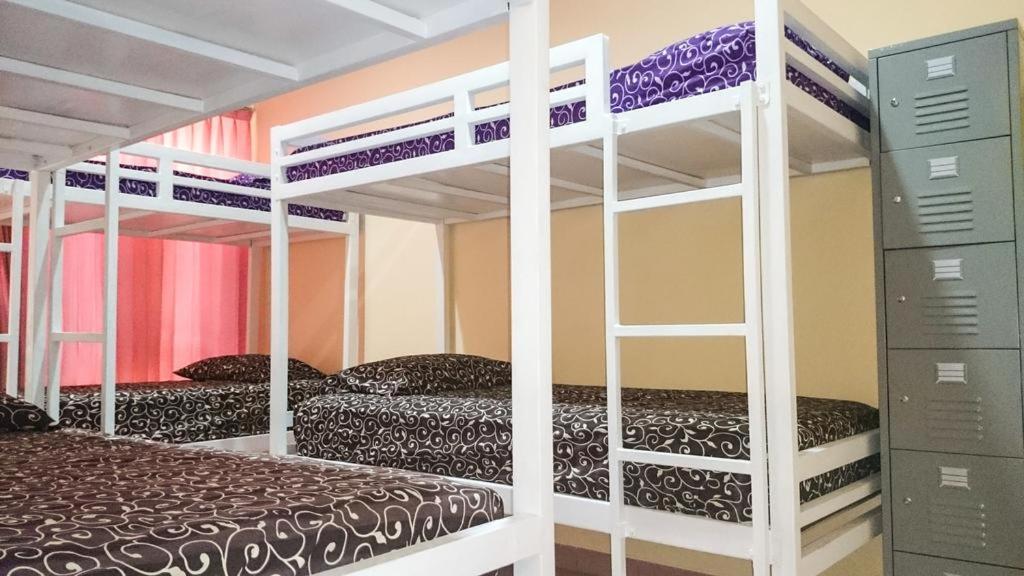 Bunk Bed in Mixed Dormitory Room photo 3