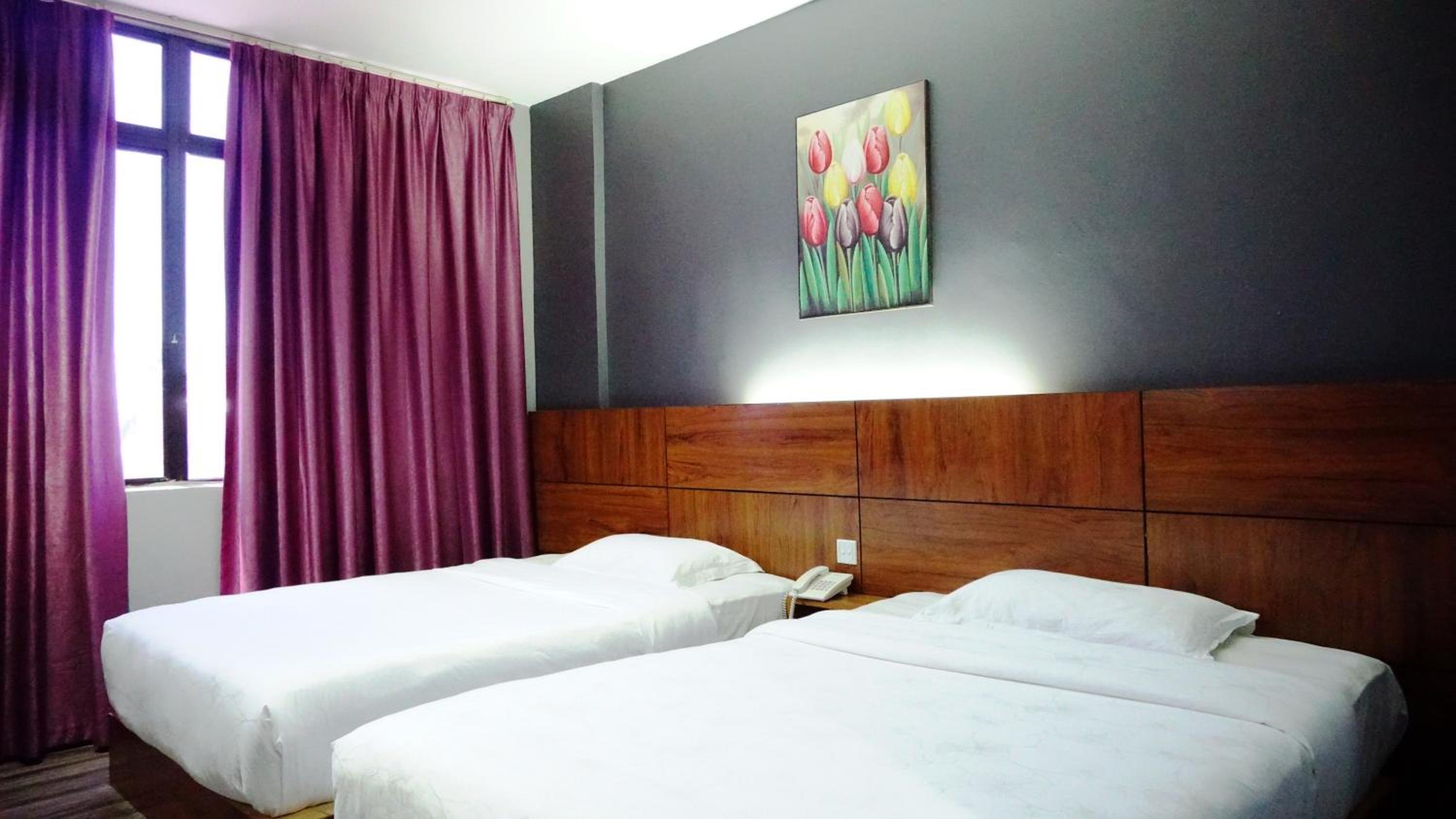 Superior Twin Room photo 2