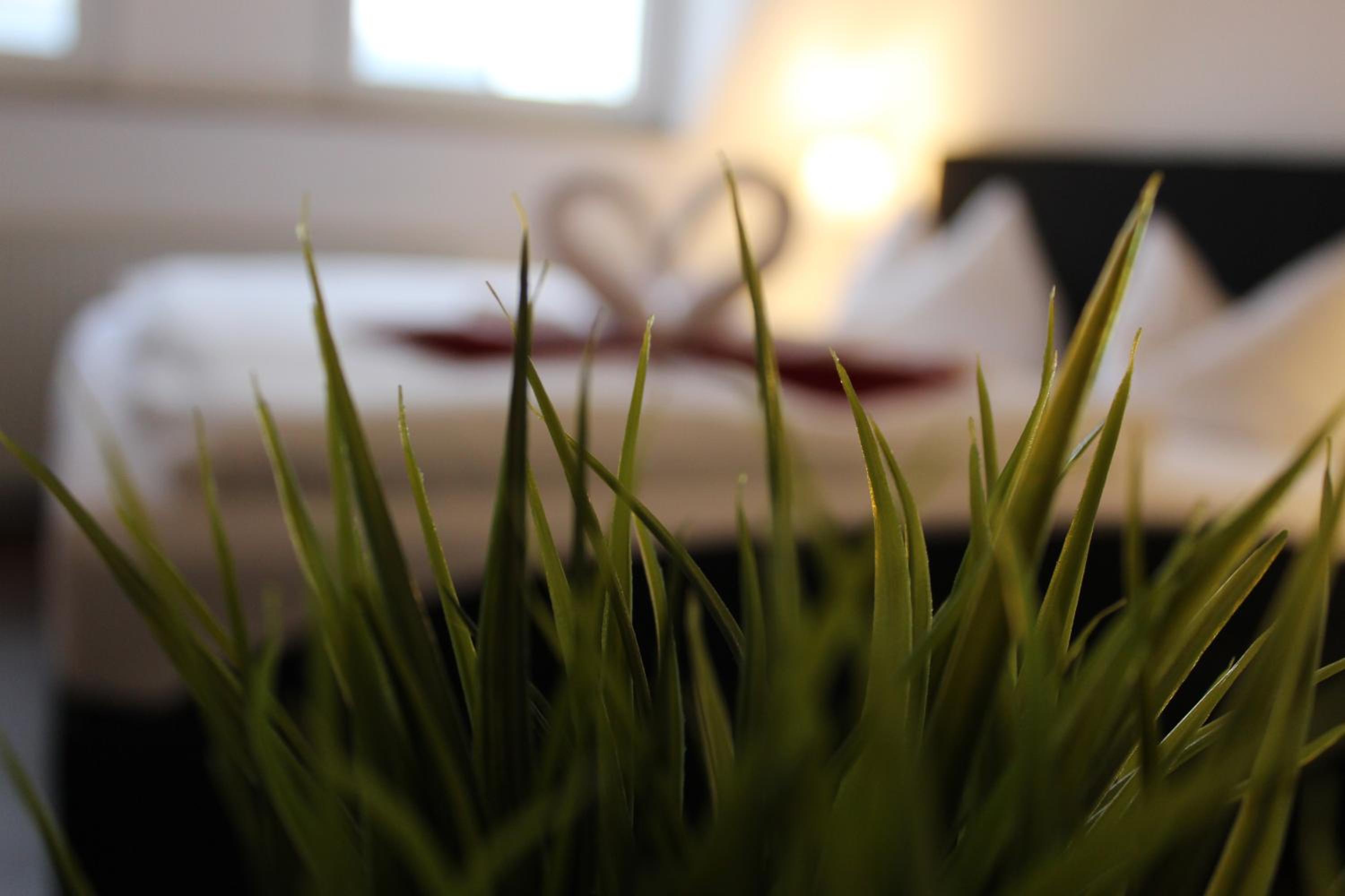 Double Room - Photo 24