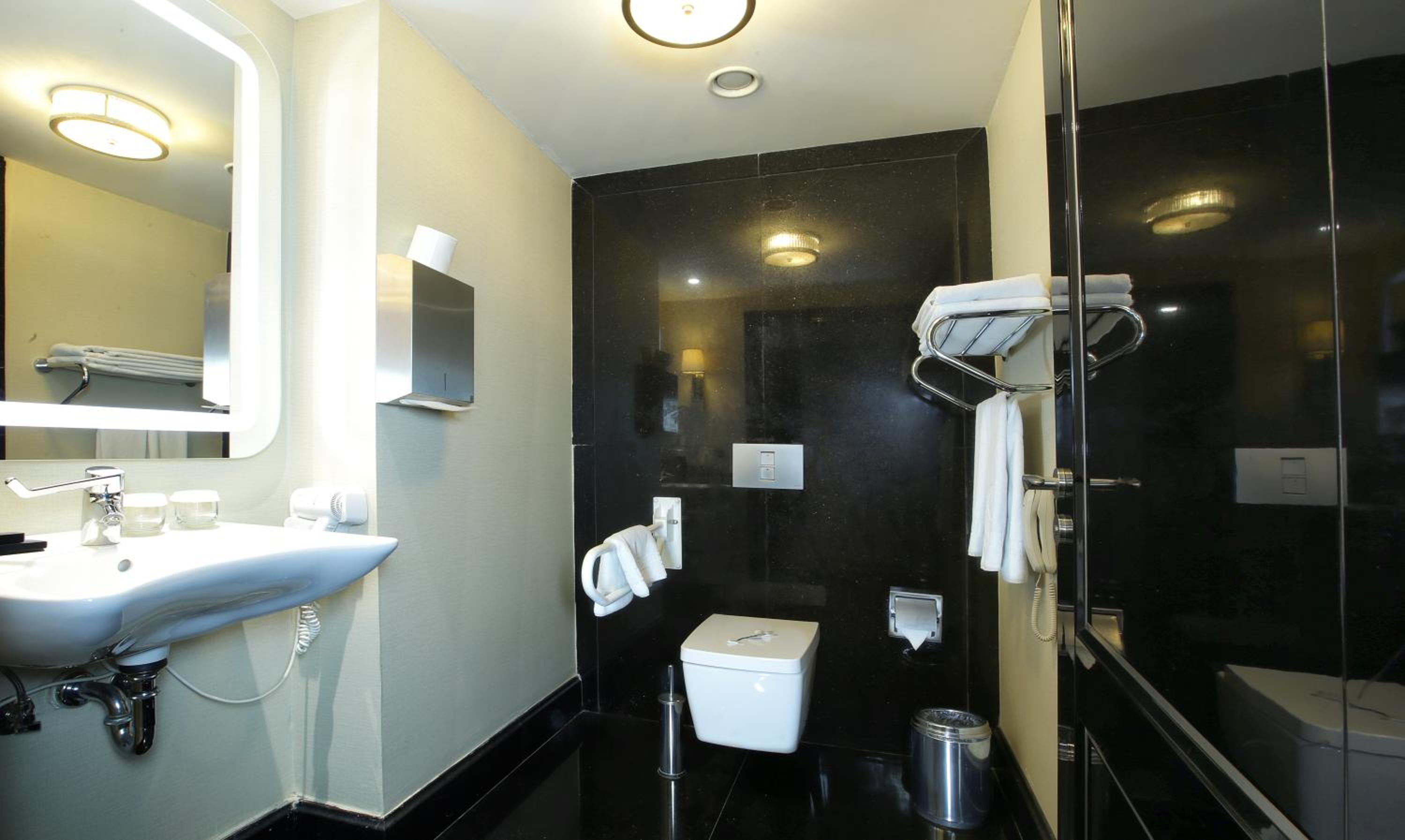 Deluxe Double or Twin Room photo 2