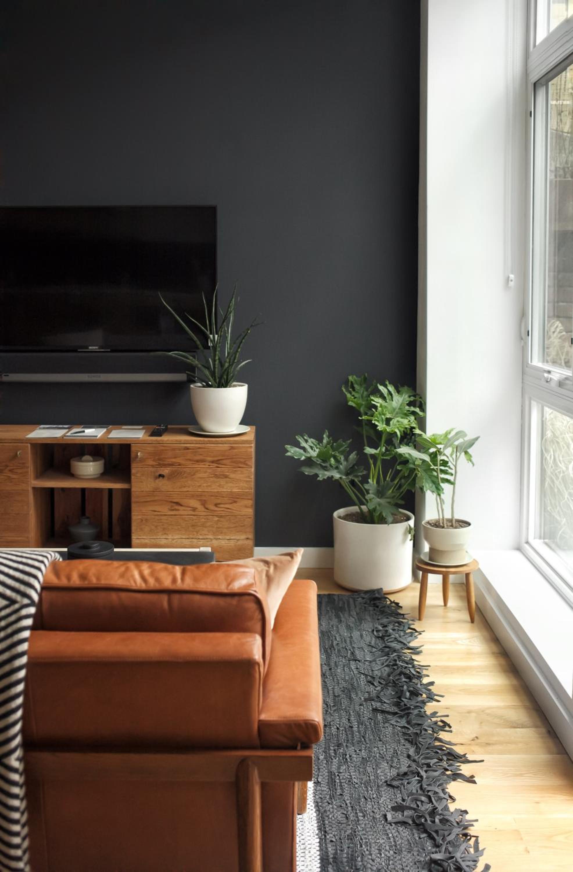 Studio with Garden View - Disability Access