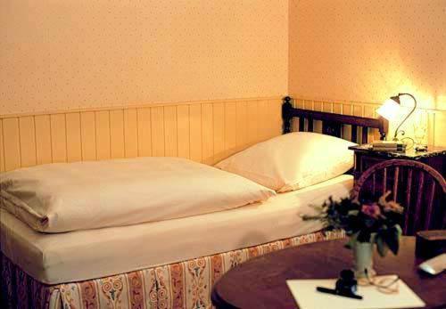 Double Room (1 Adult)