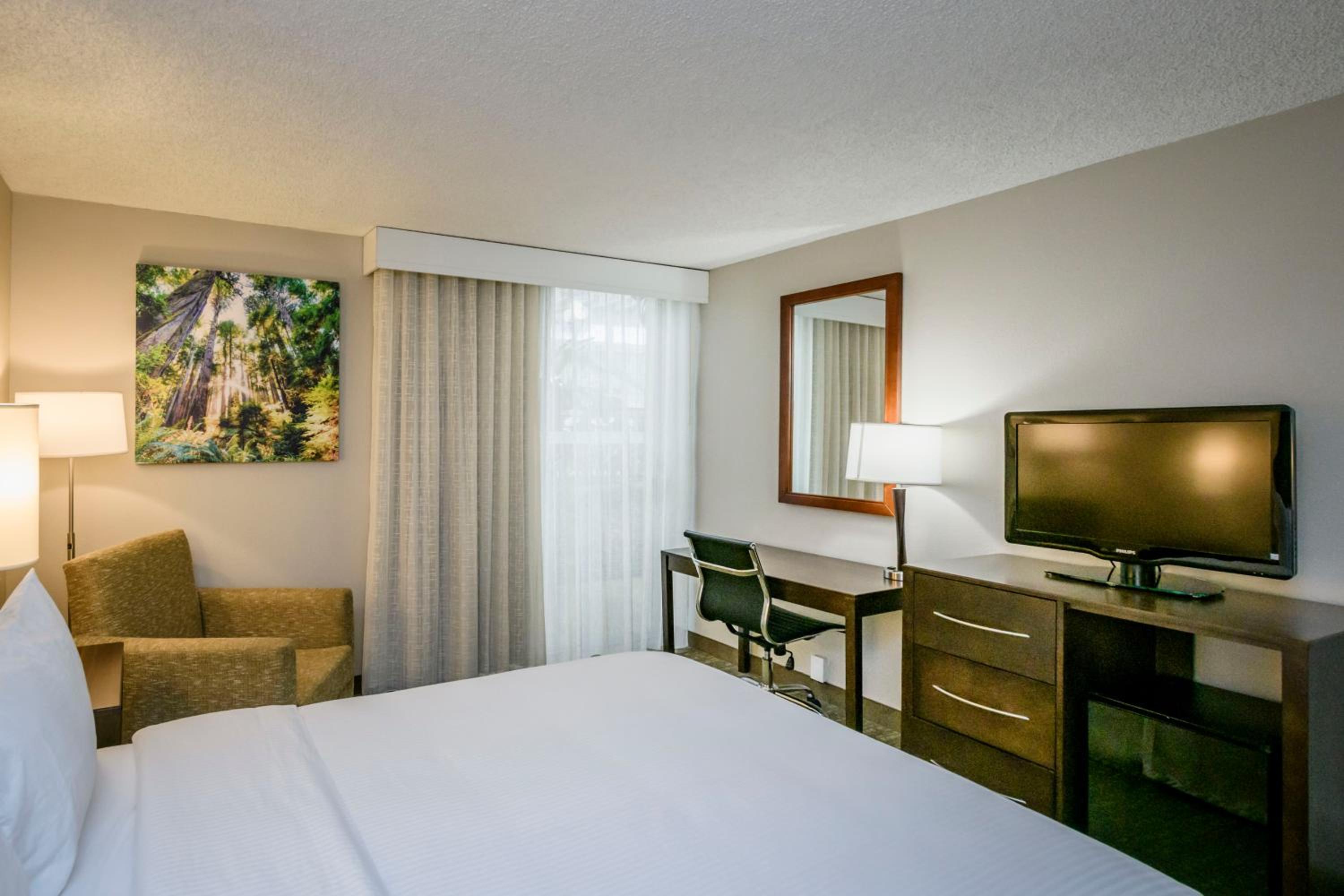 King Room - Non-Smoking - Photo 1