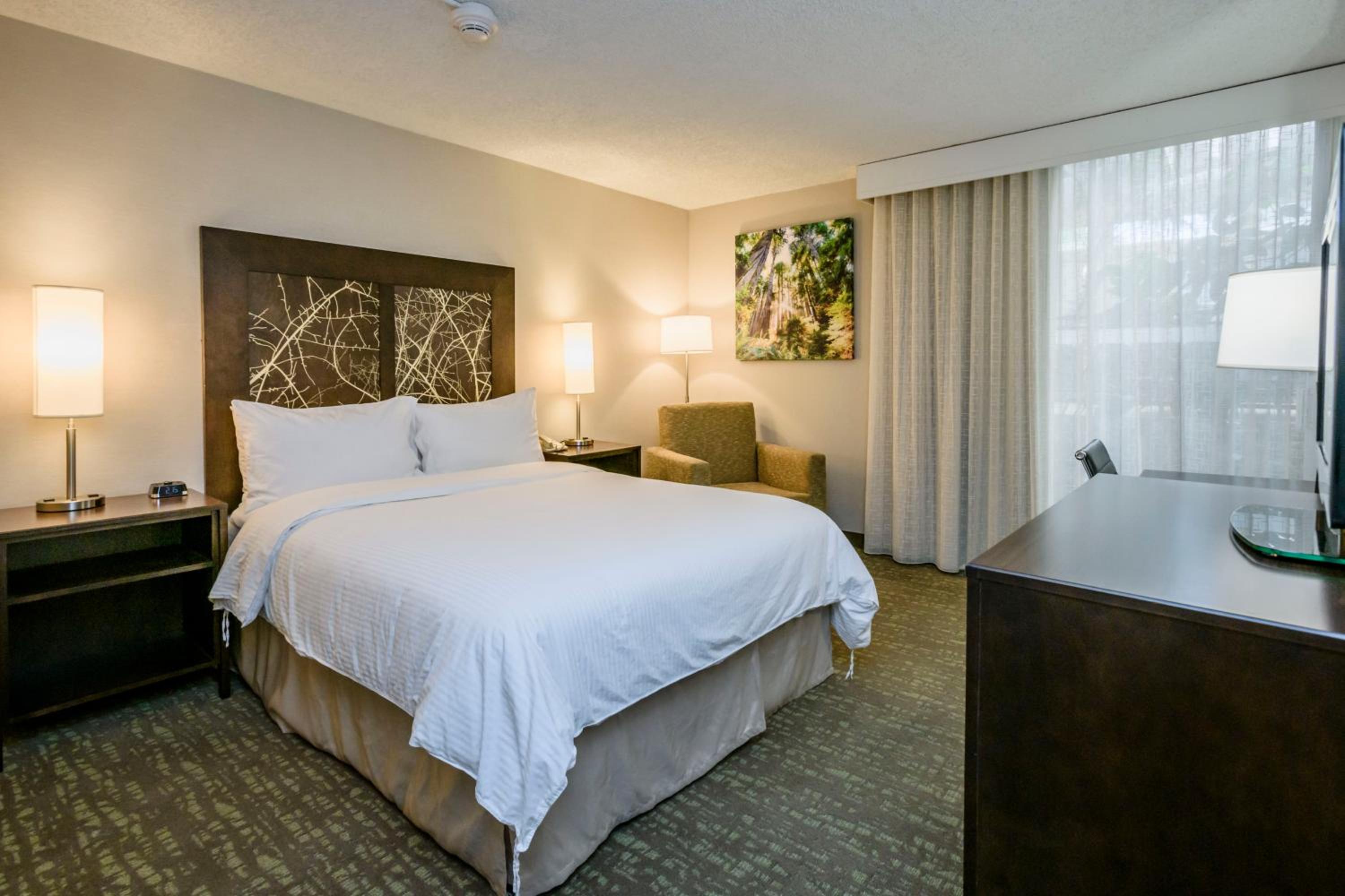 Deluxe King Room - Non-Smoking - Photo 1