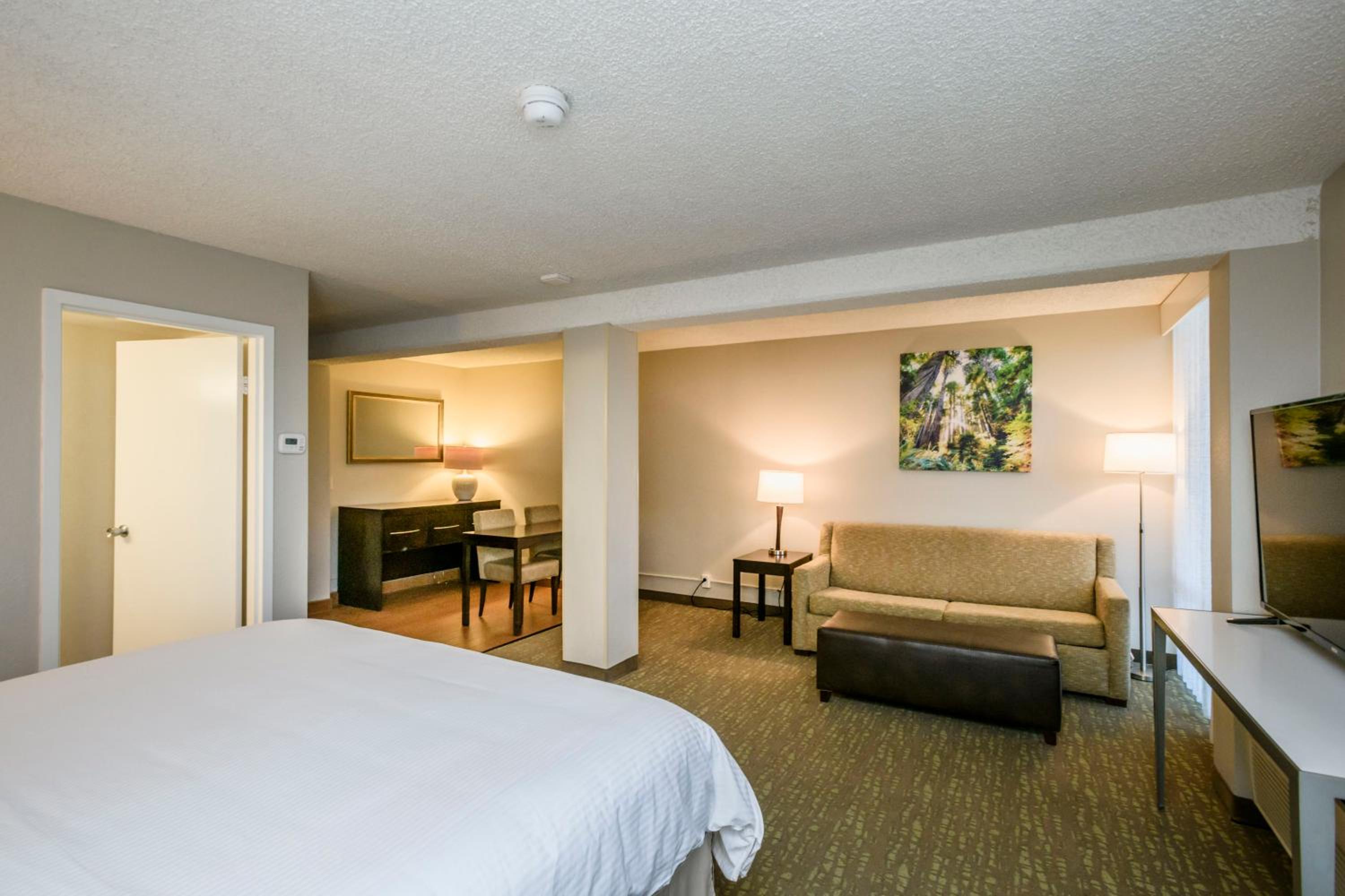 Junior King Suite - Non-Smoking - Photo 1