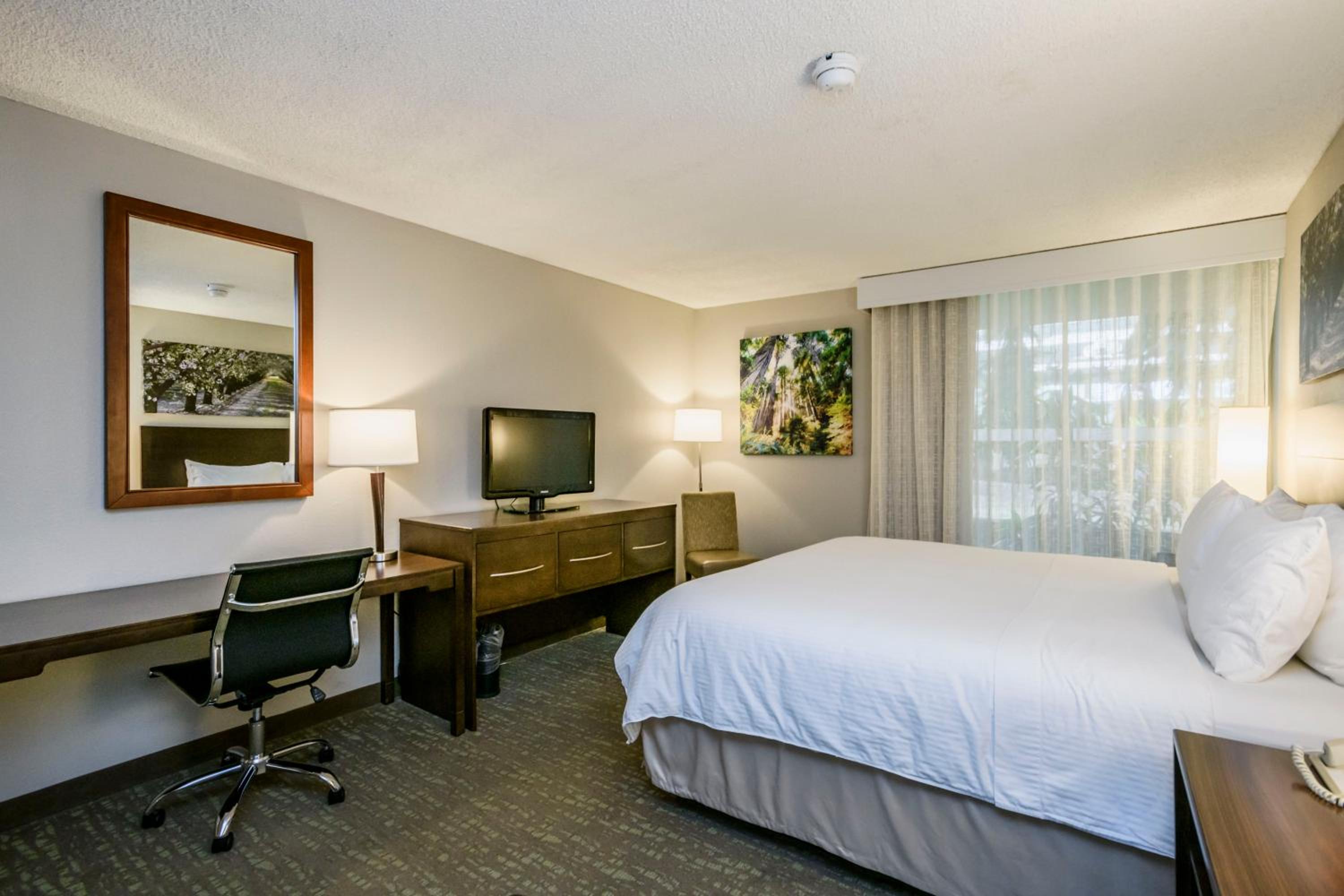 King Room - Non-Smoking - Photo 3