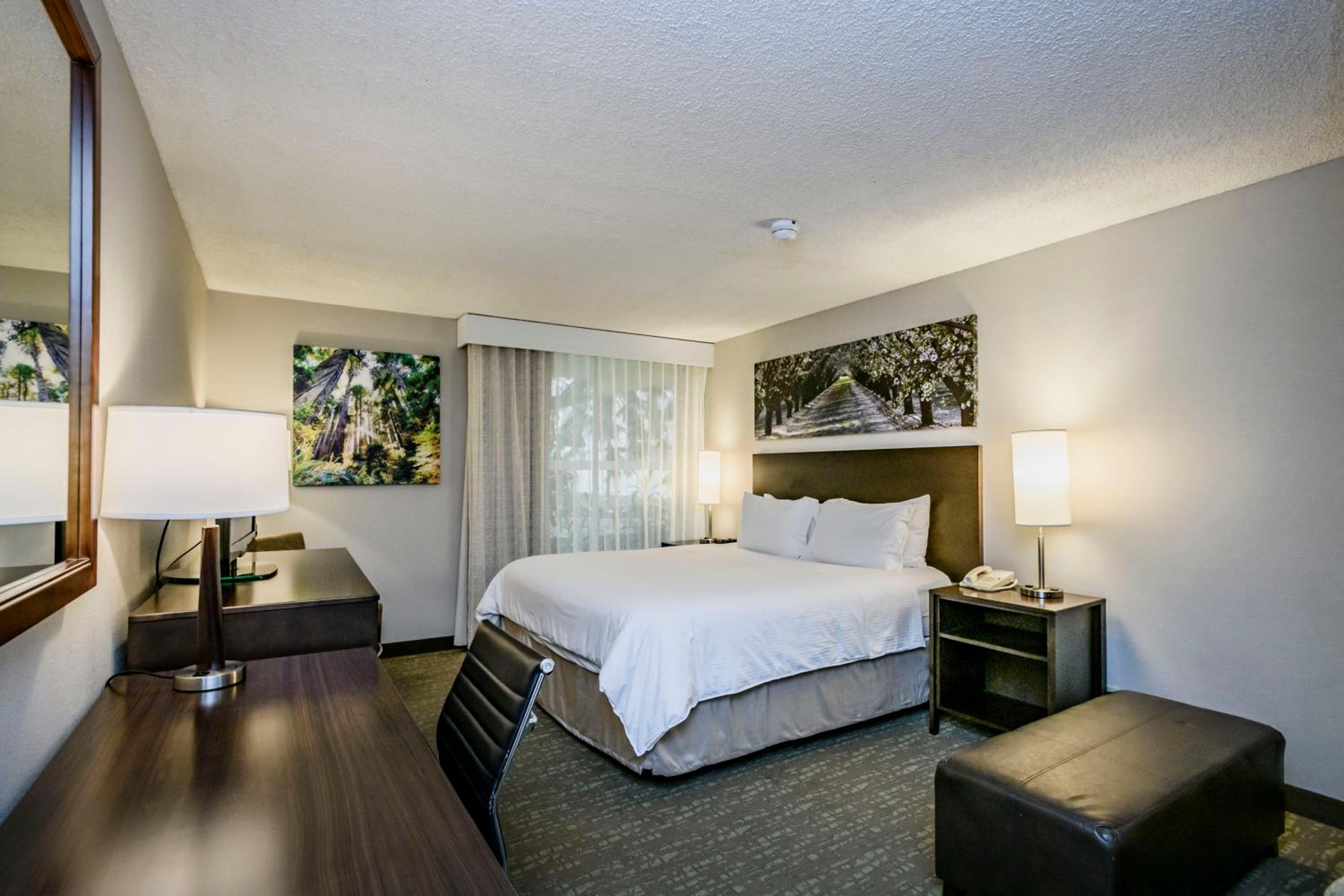 Deluxe King Room - Non-Smoking - Photo 3