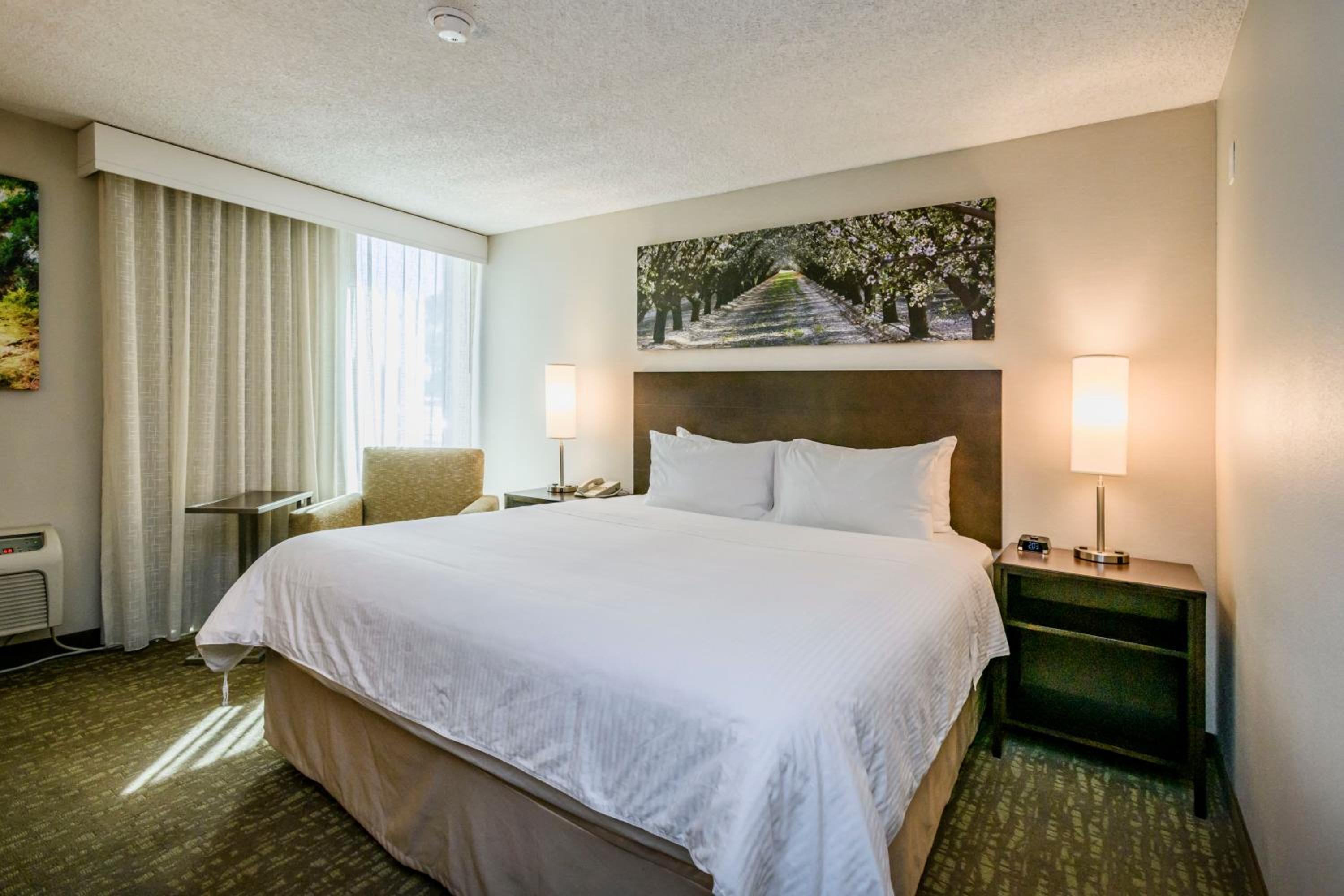 Junior King Suite - Non-Smoking - Photo 3