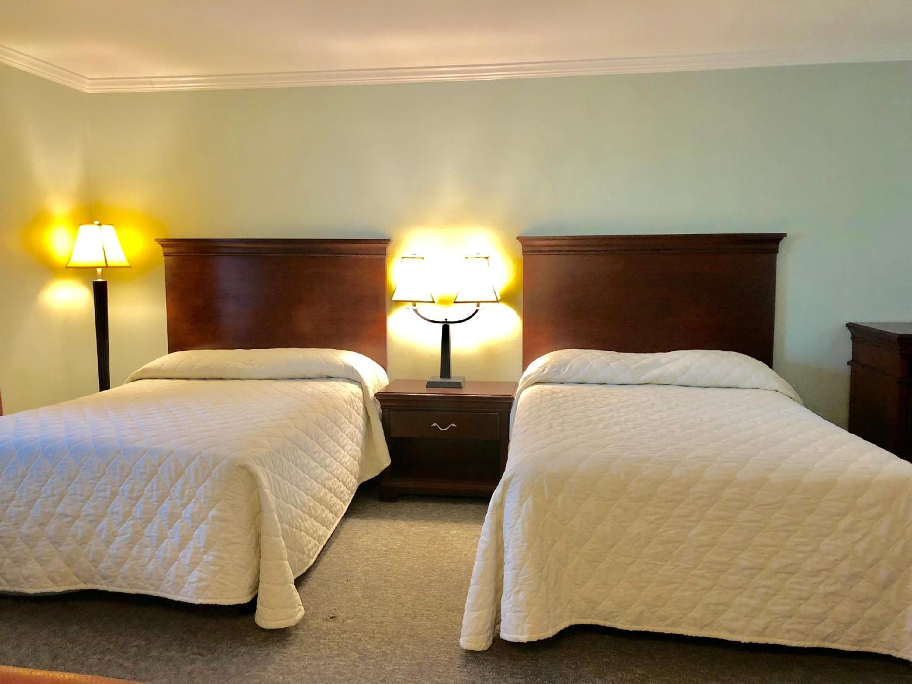 Standard Double Room - Photo 1