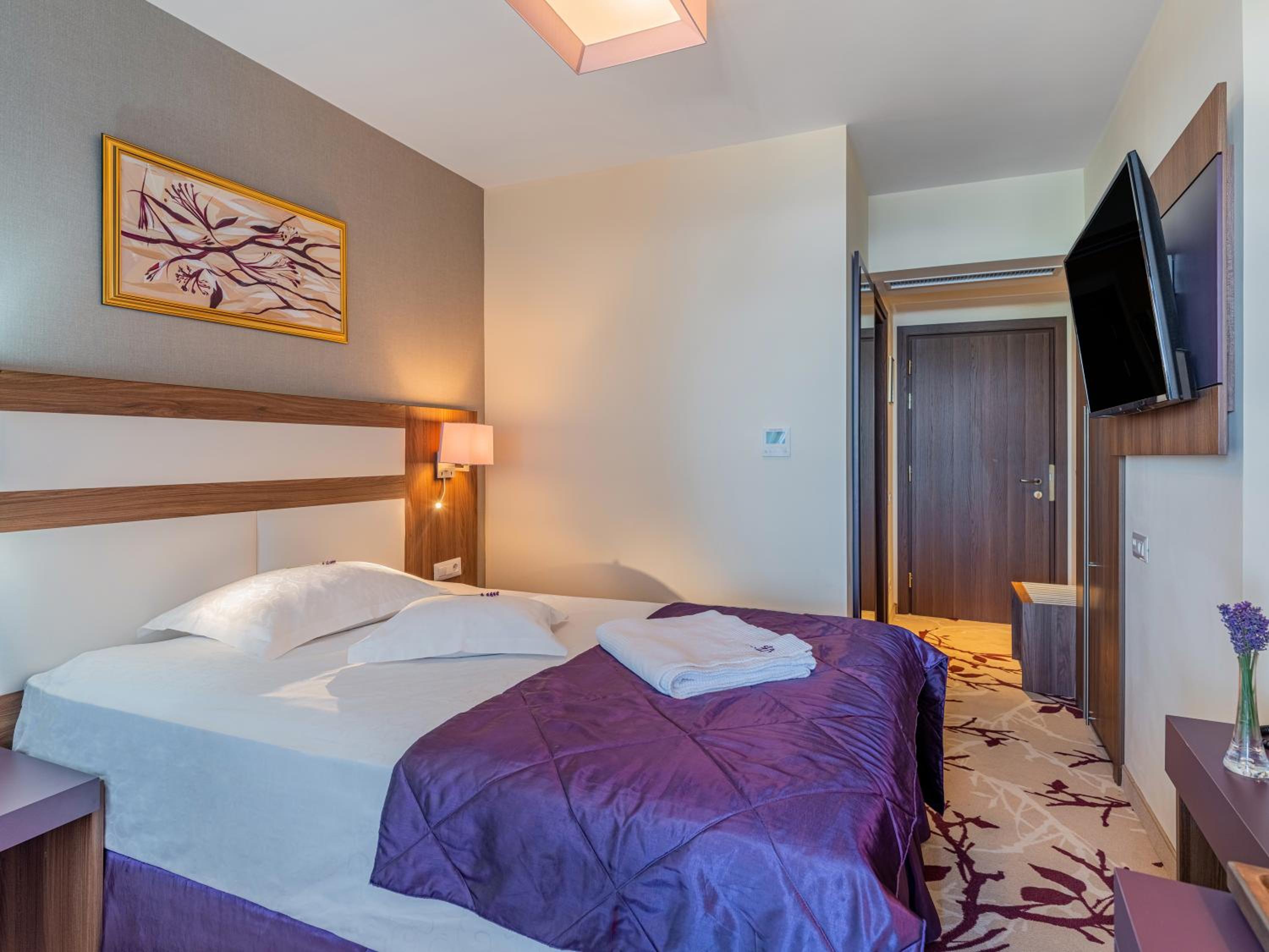 Single Room with Balcony and Sea View