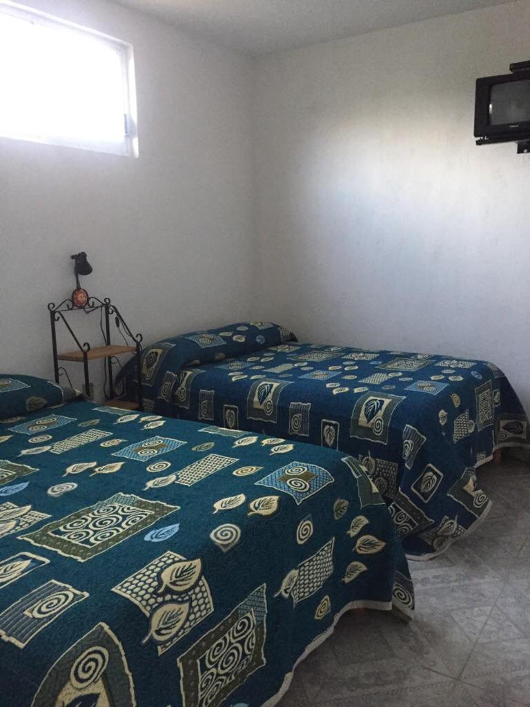 Twin Room photo 1