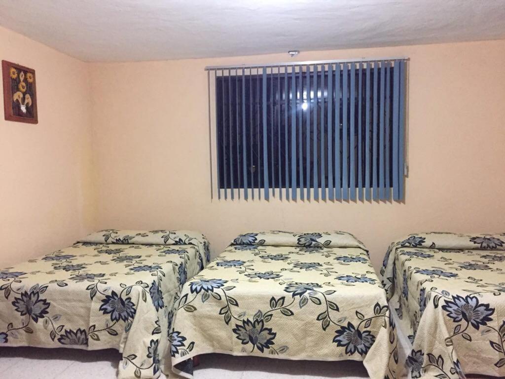 Family Room (6 Adults) photo 3