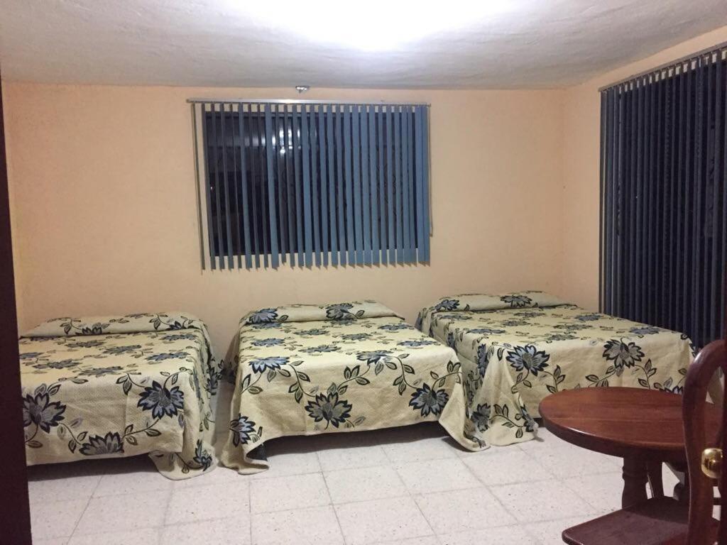 Family Room (6 Adults) photo 1