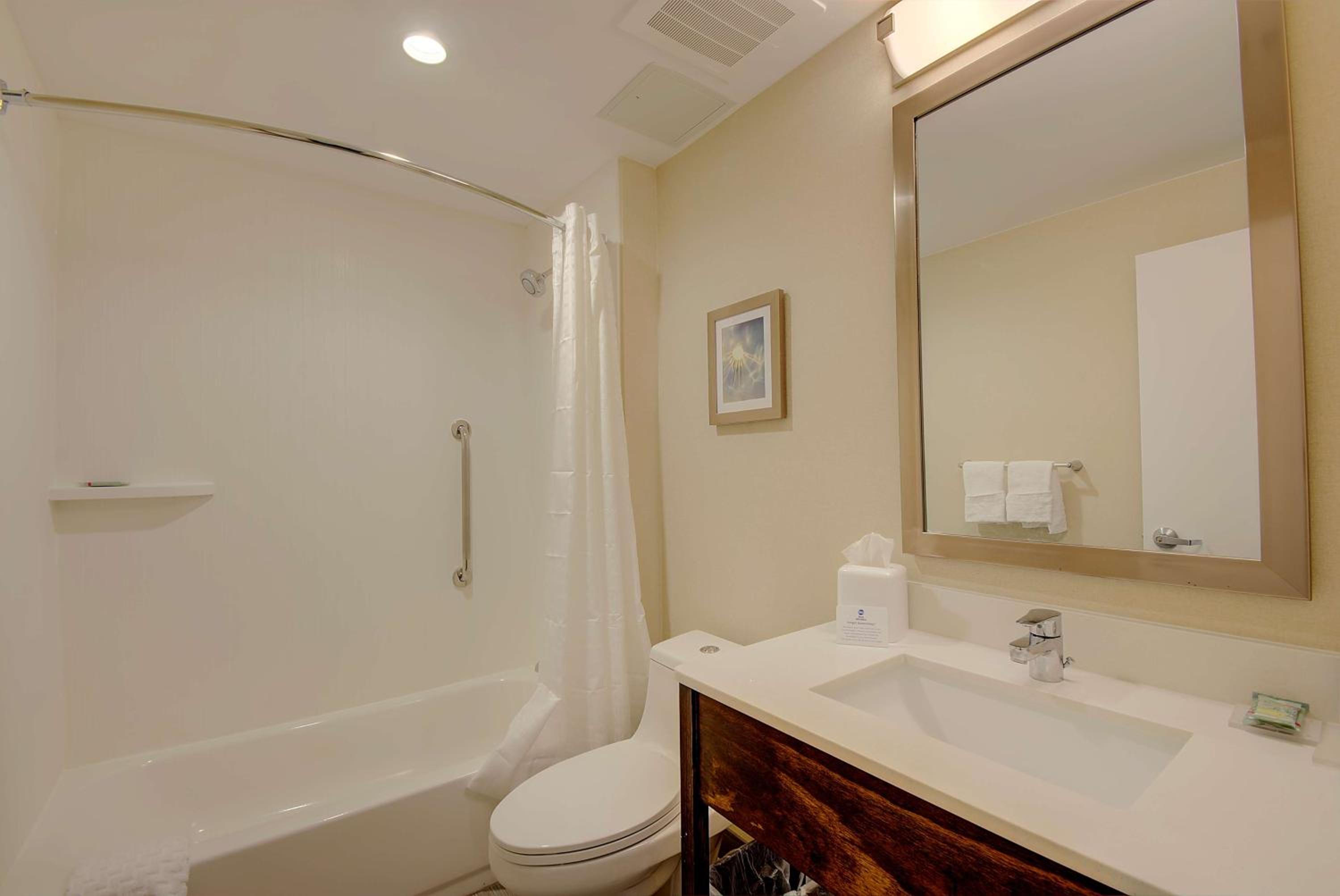 One-Bedroom King Suite with Sofa Bed photo 3