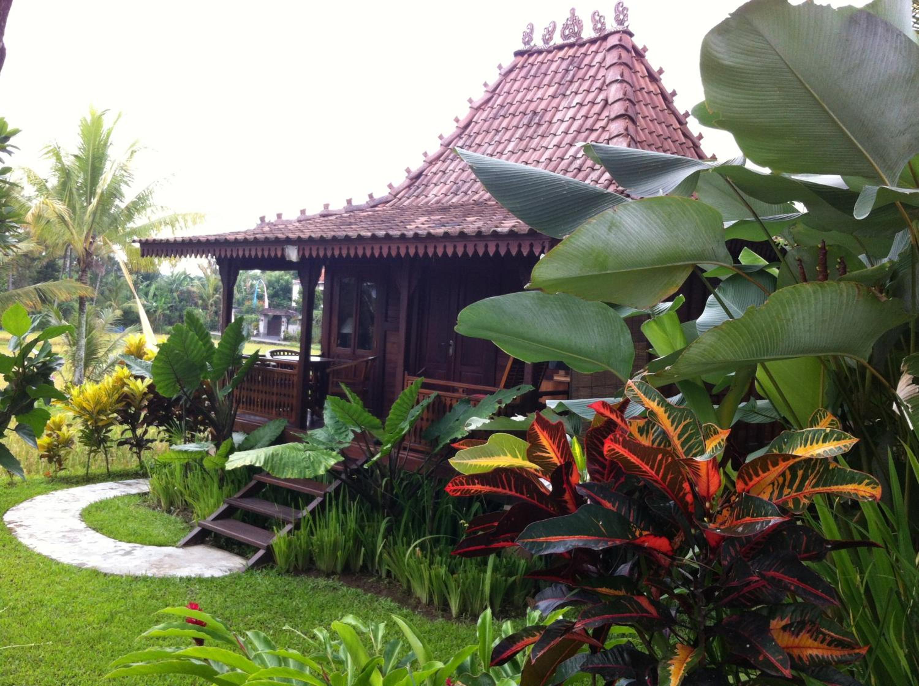 One-Bedroom Villa - Photo 198