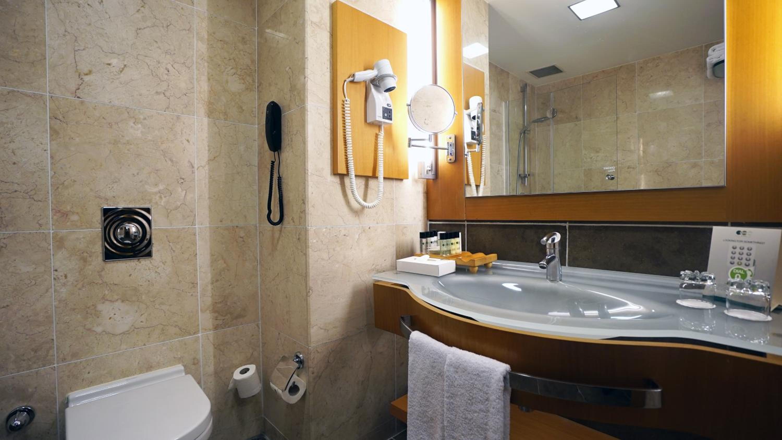 Executive Senior Suite with Lounge Access thumbnail 6