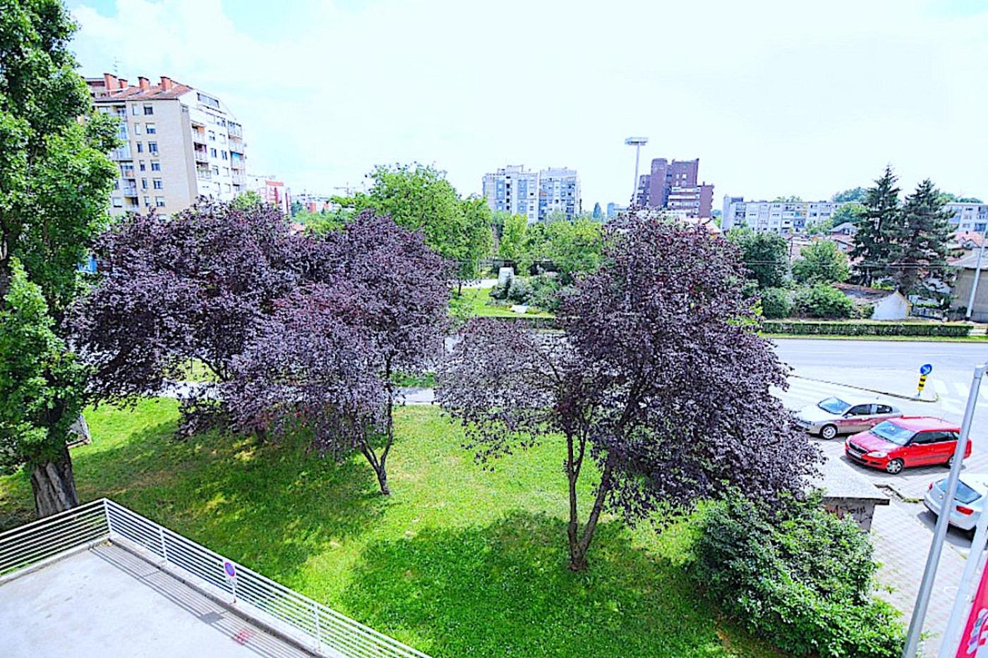 Apartment - Photo 8