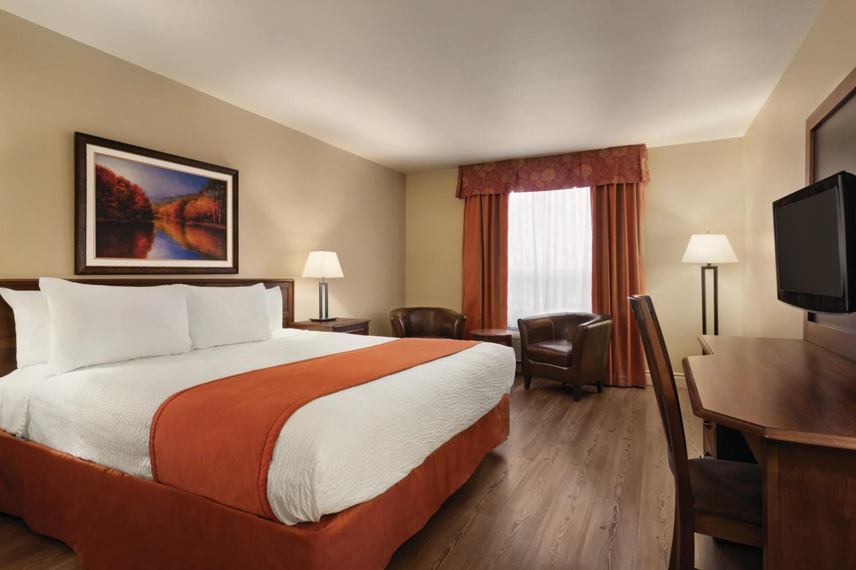 King Room - Non-Smoking - Photo 1