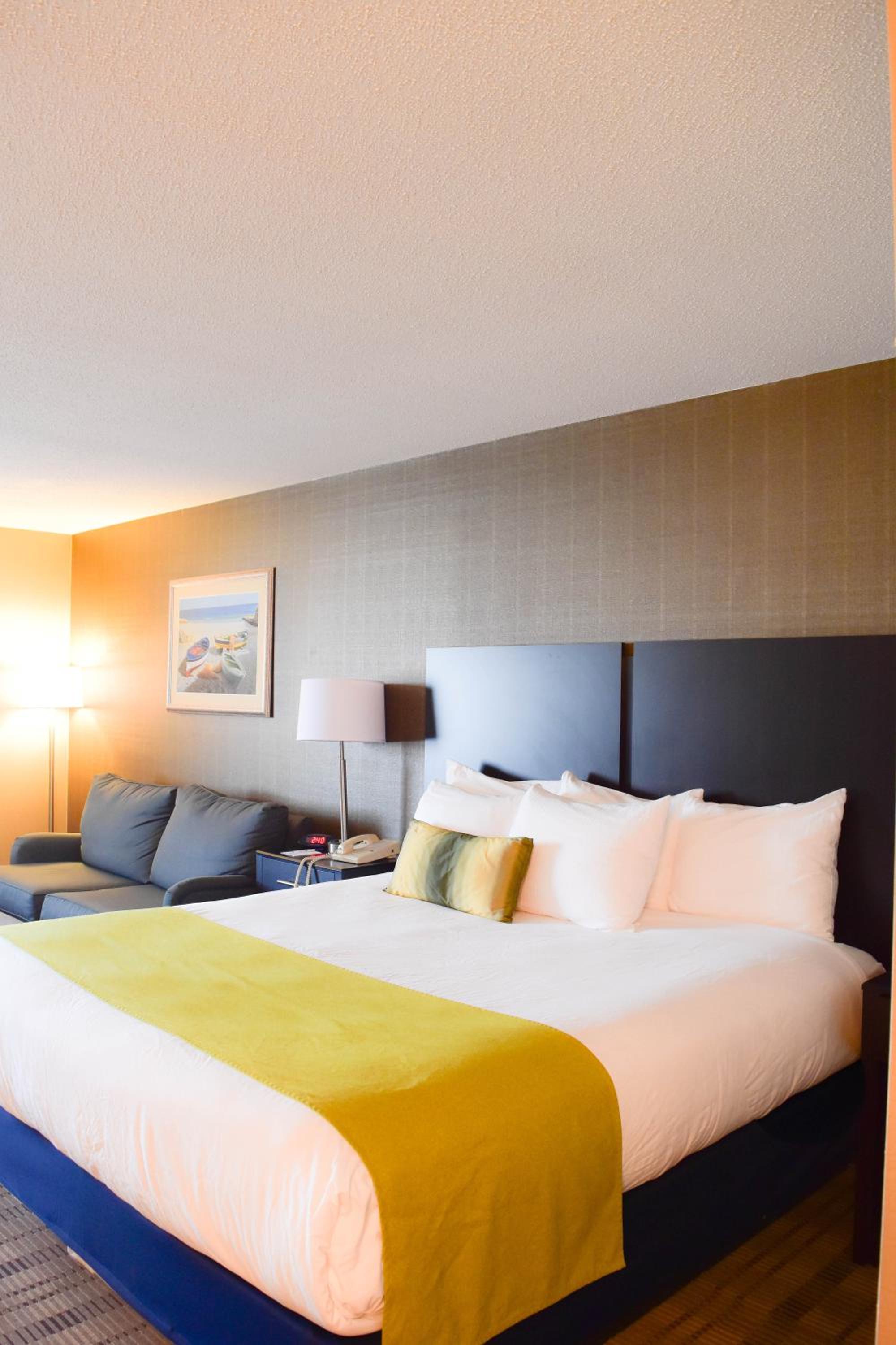 King Suite with Sofa Bed - Non-Smoking - Photo 10