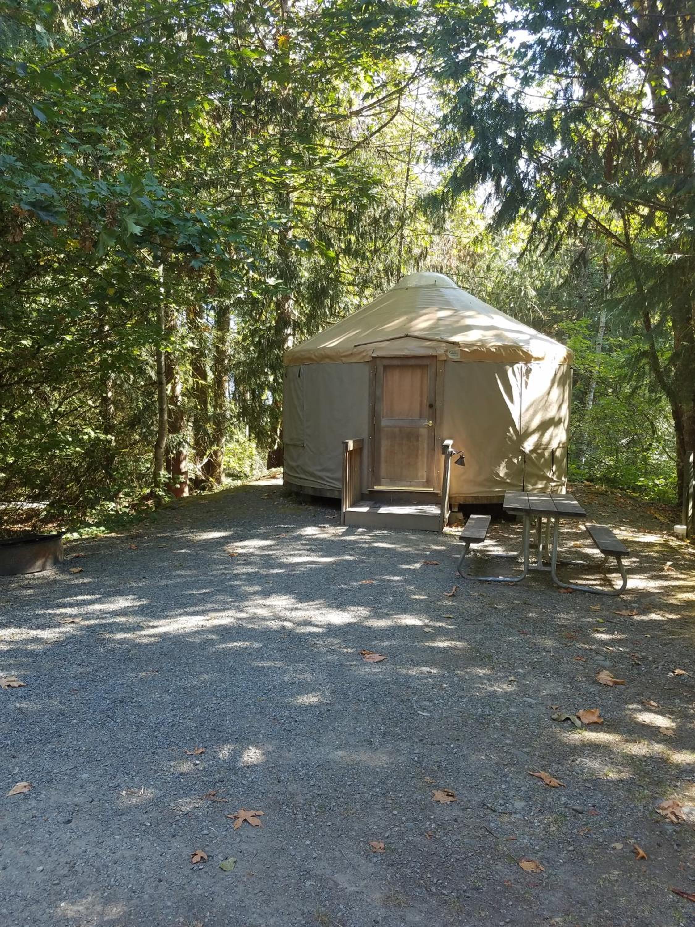 Yurt photo 3