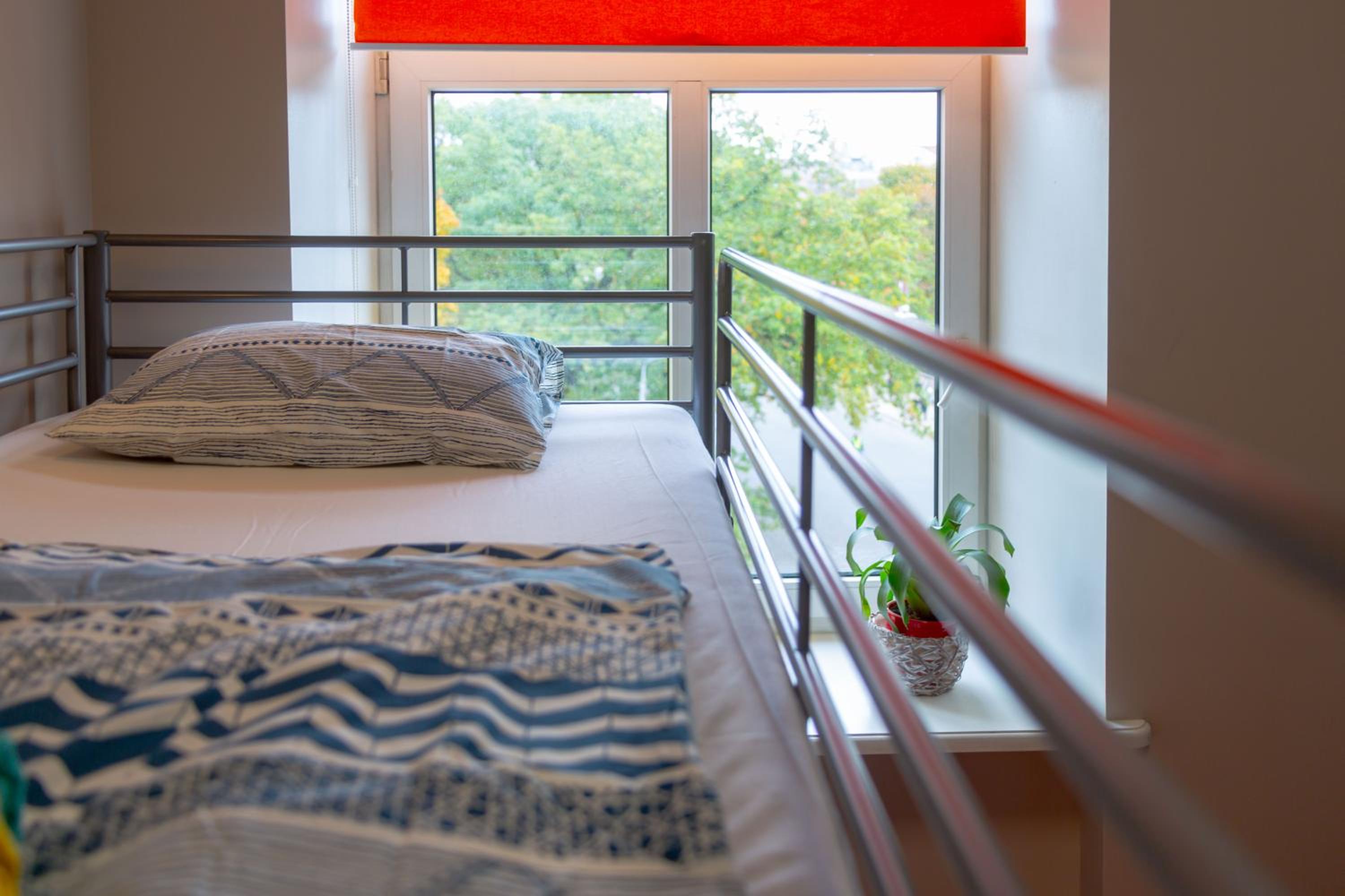 Twin Room with City View photo 1