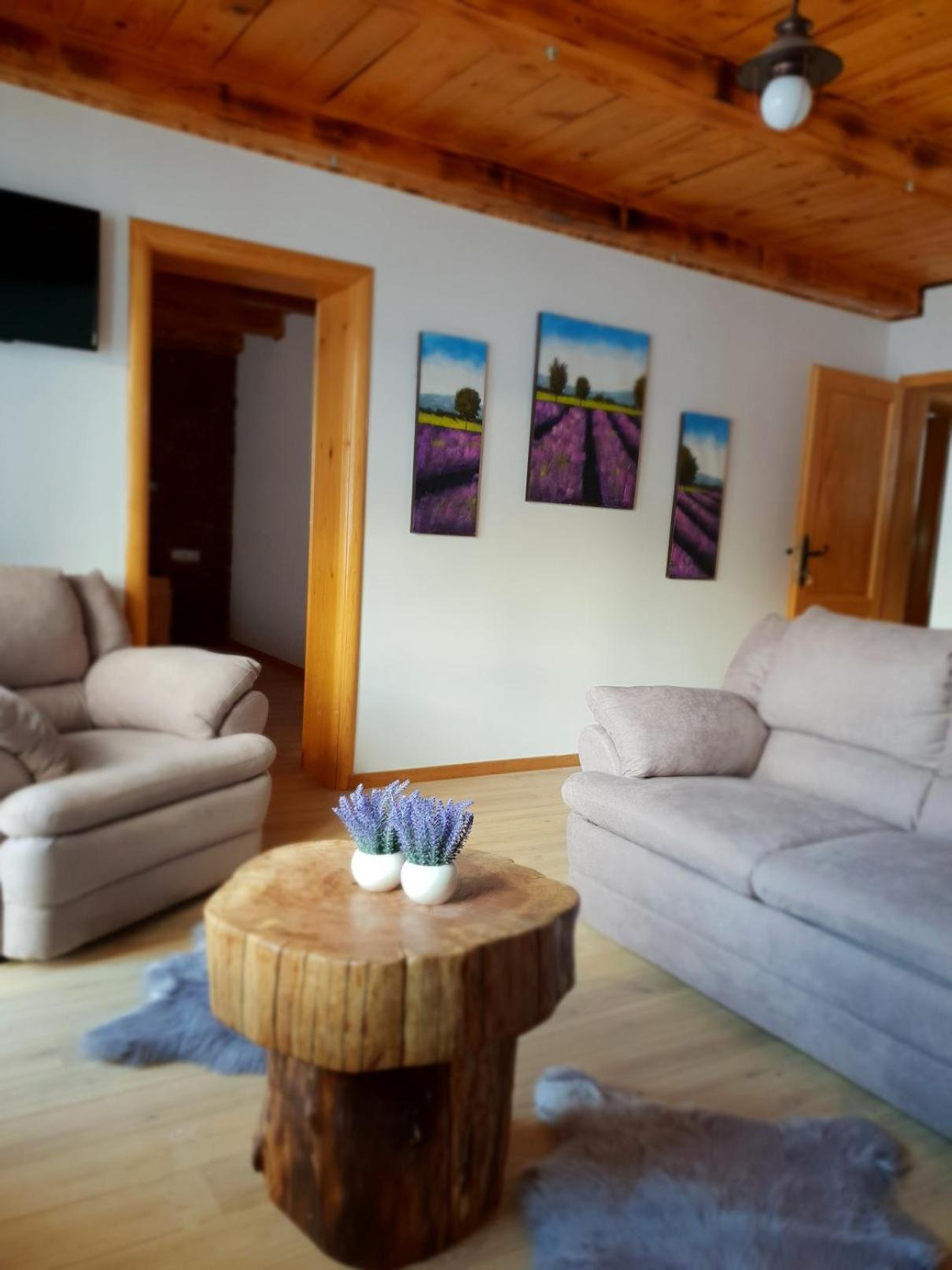Suite with Terrace photo 2