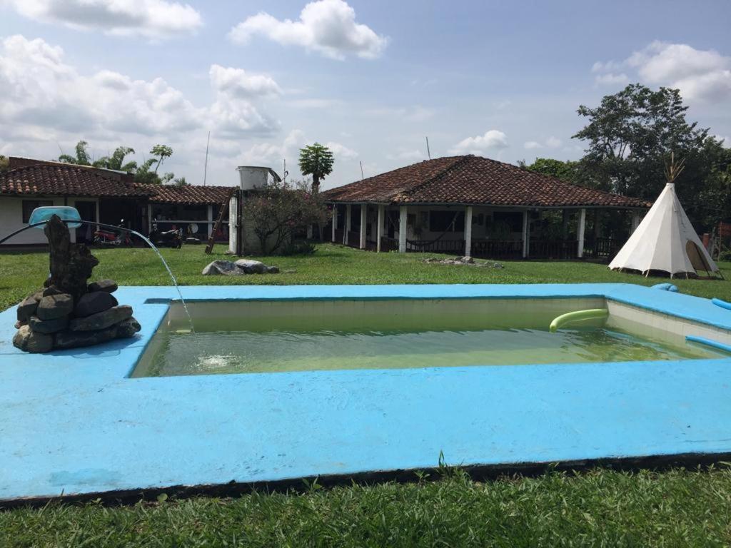 King Room with Pool View photo 3