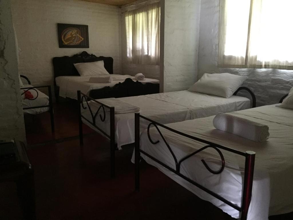 Family Room with Bathroom photo 3