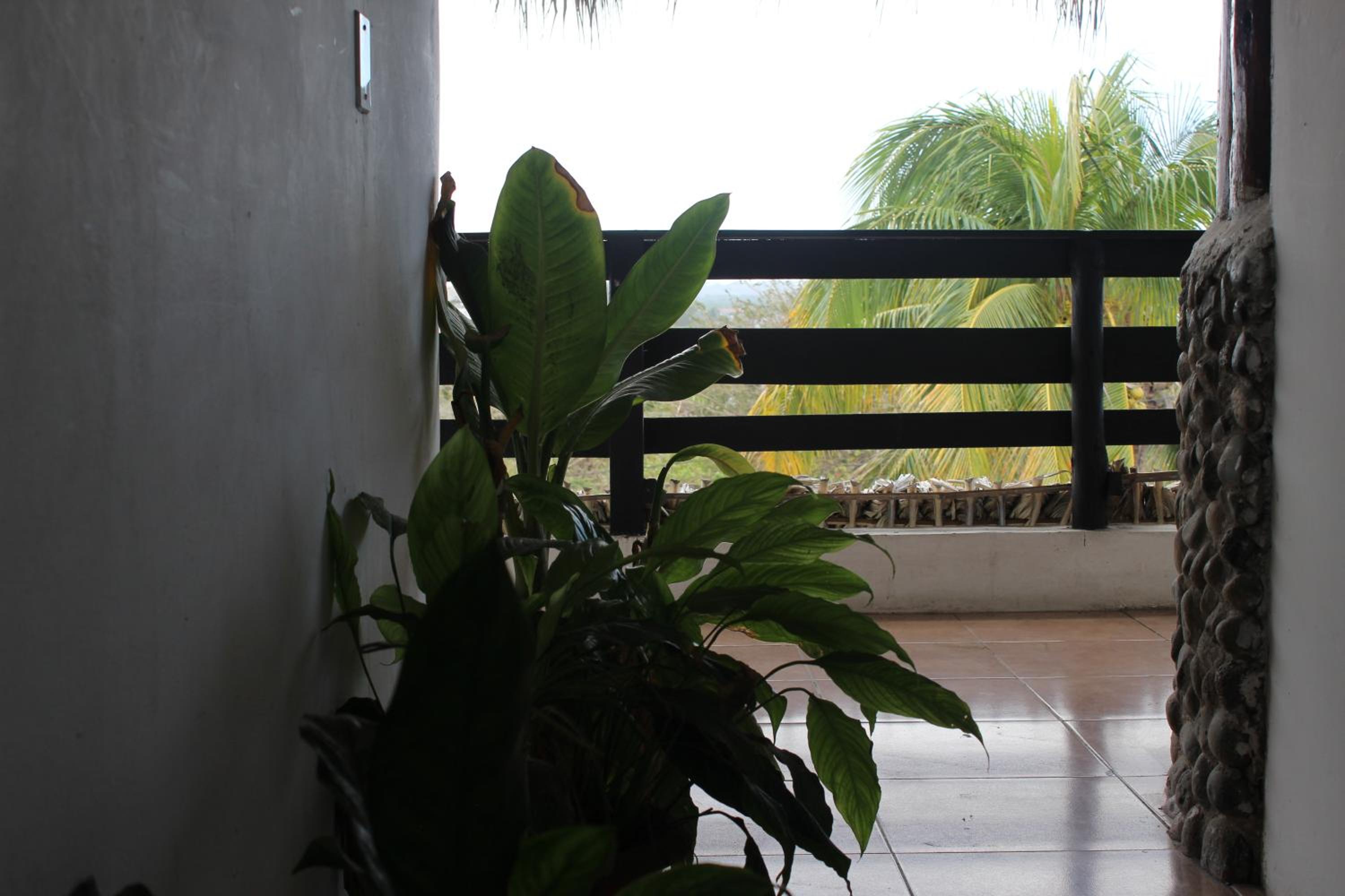Deluxe Family Room - Photo 10