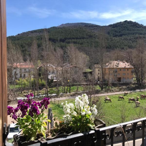 Double Room with Balcony photo 2