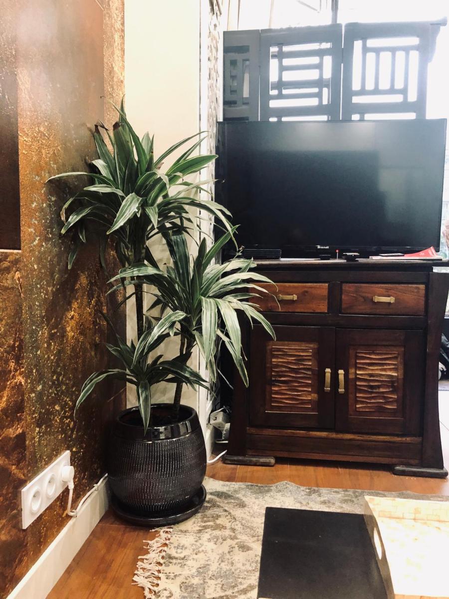 Deluxe Studio photo 1