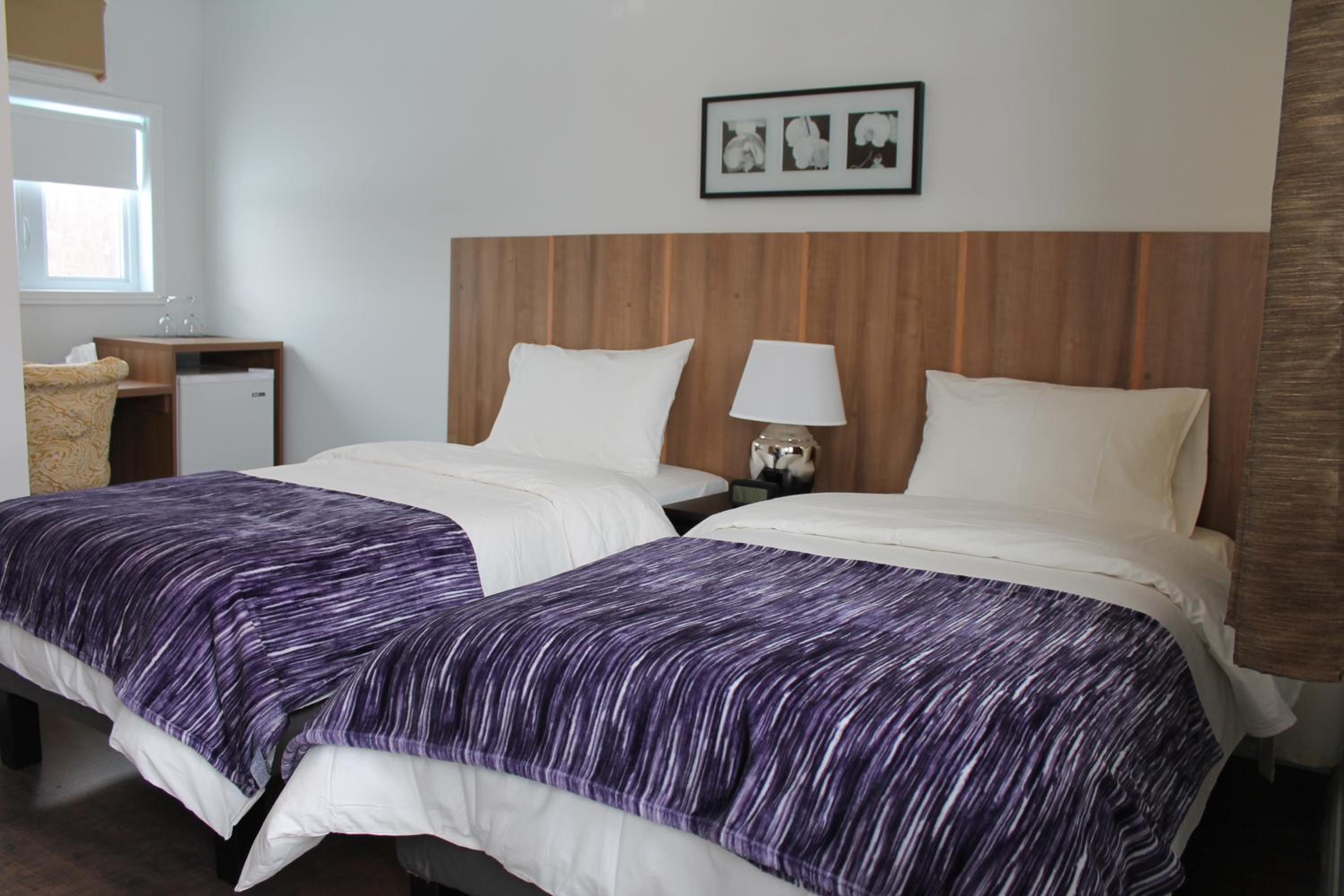 Double or Twin Room photo 1