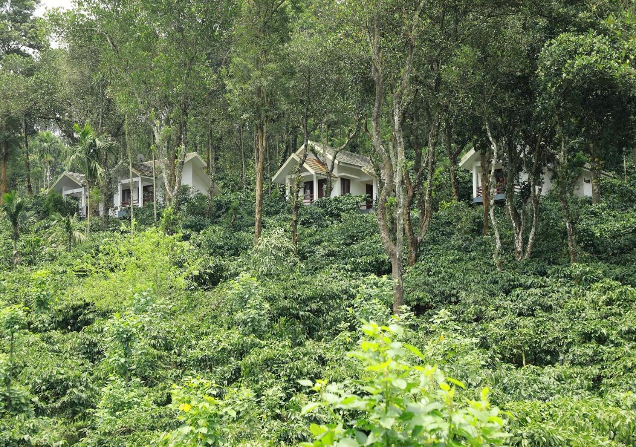 Superior Villa photo 2