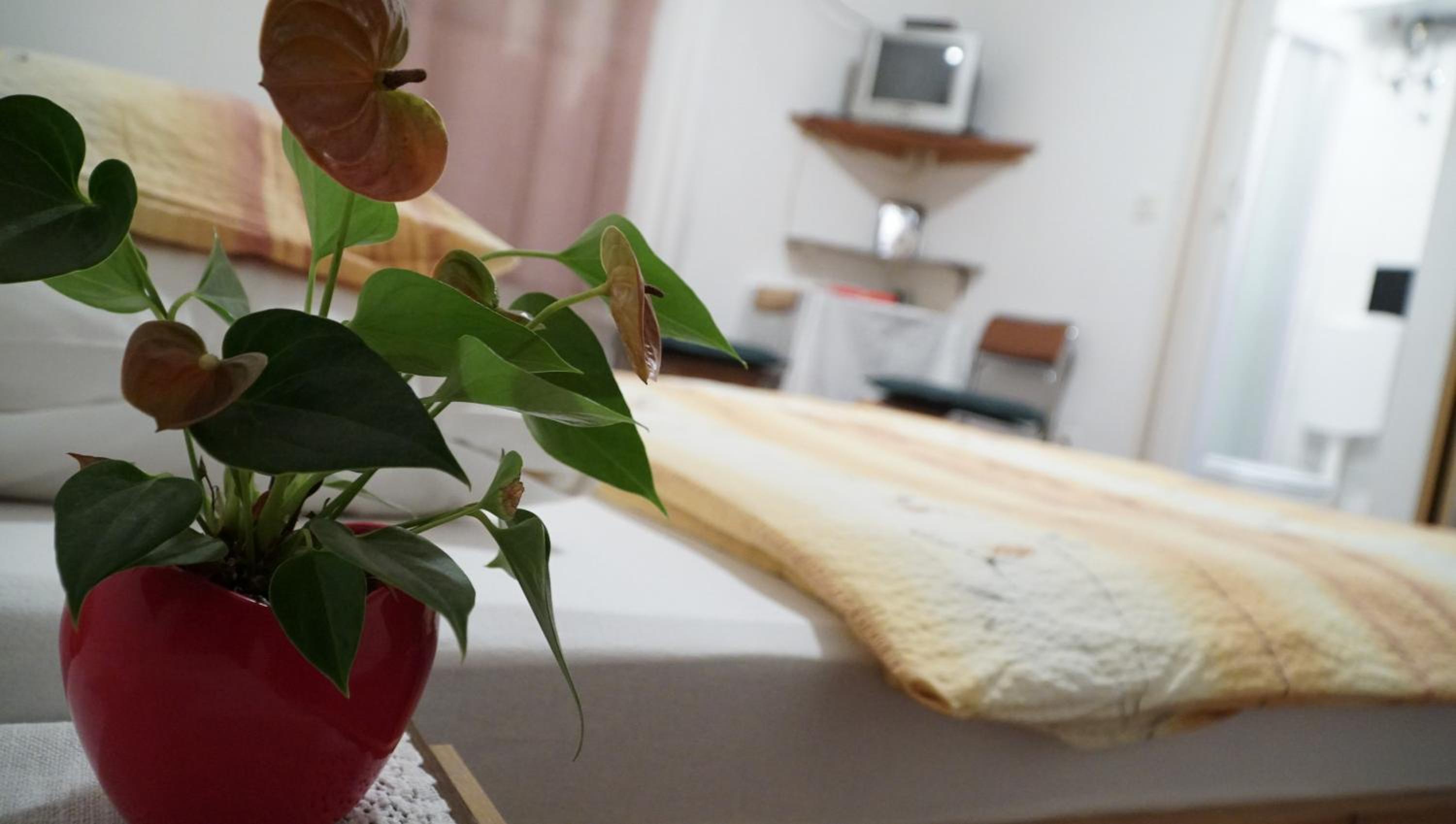 Standard Double Room - Photo 1