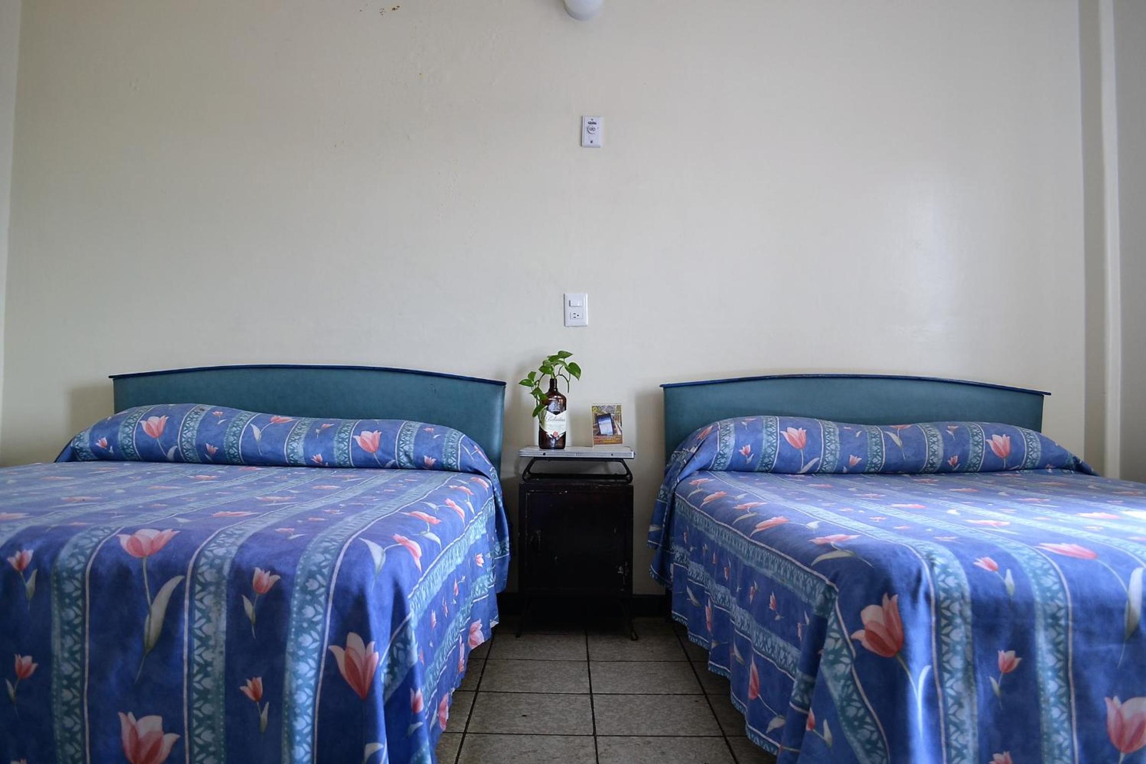 Twin Room - Photo 4