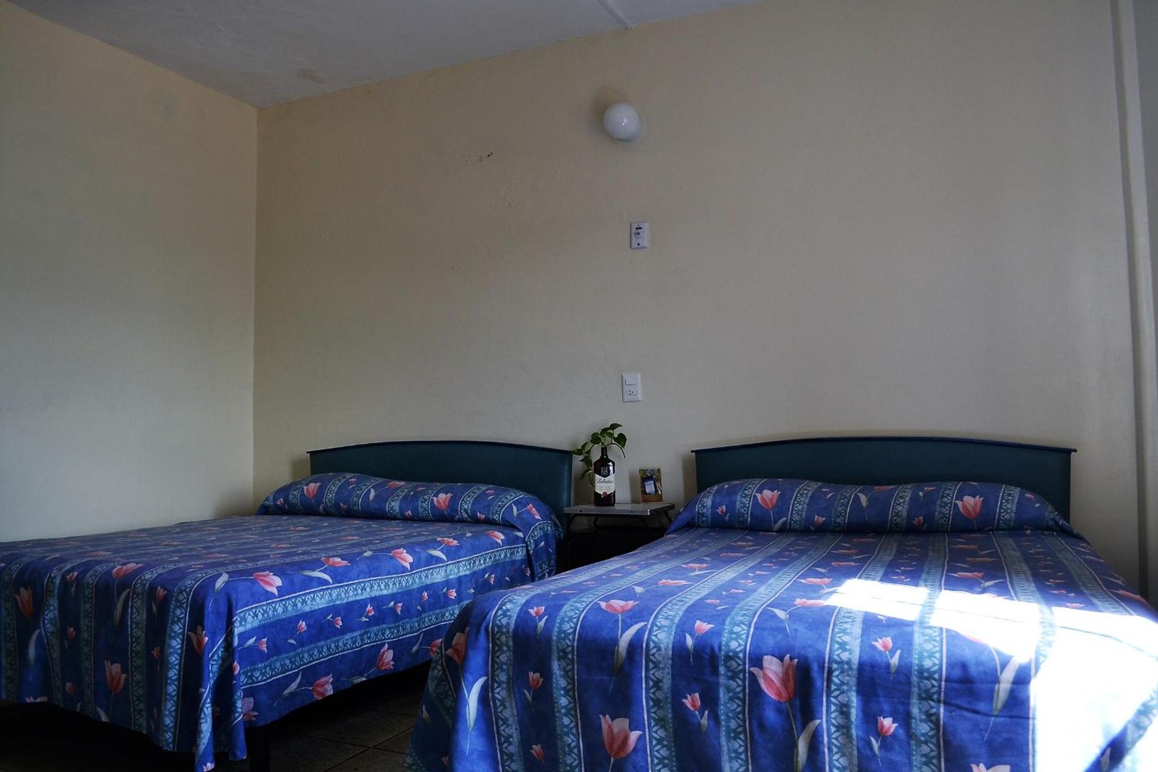 Twin Room - Photo 5