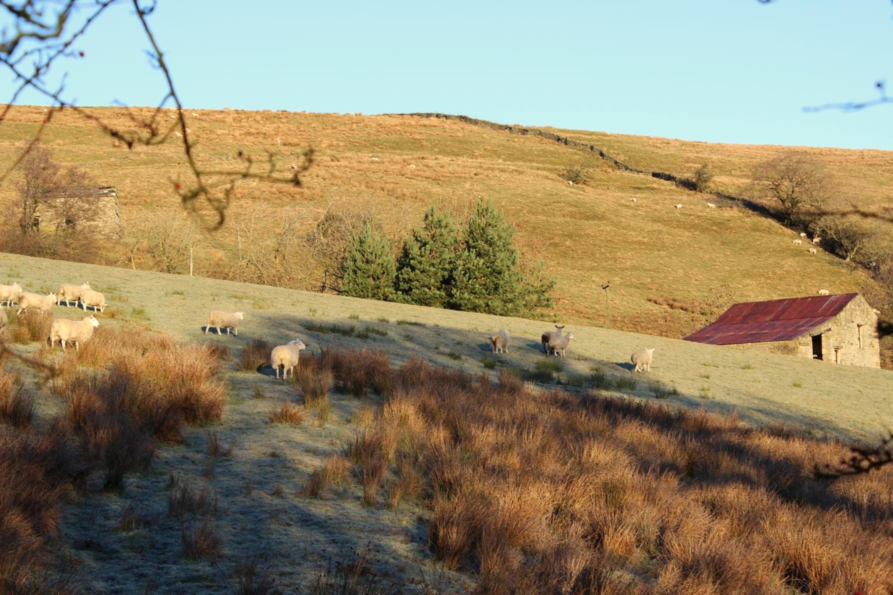 Vacation Home photo 2
