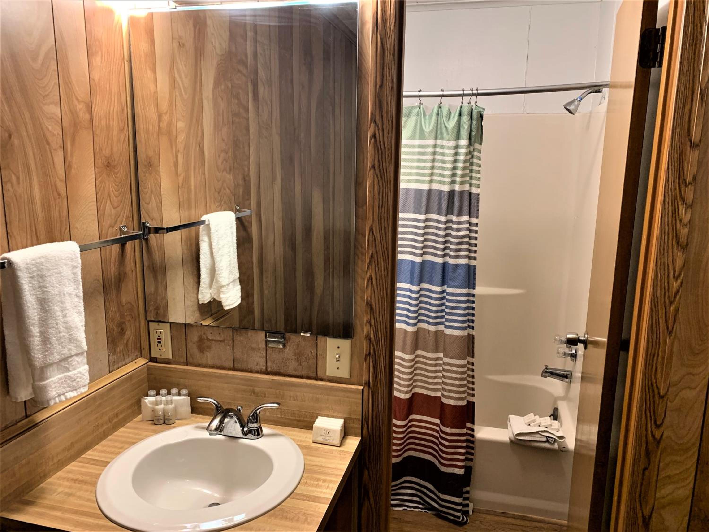 Deluxe Suite - Photo 8