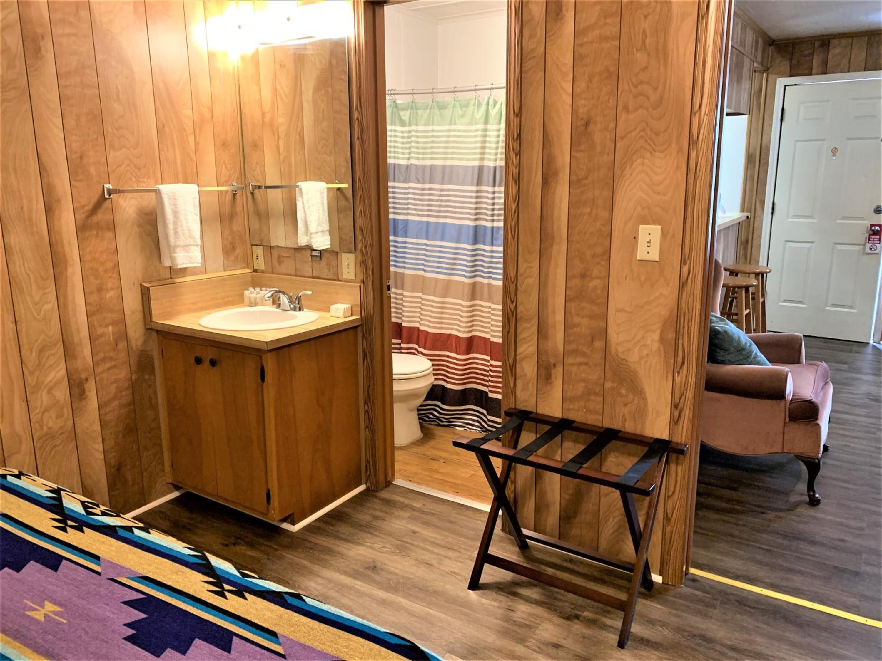 Deluxe Suite - Photo 4