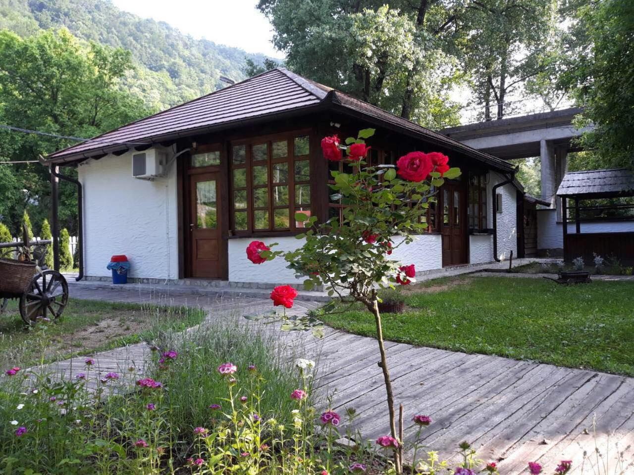 Villa - Beach Front photo 1
