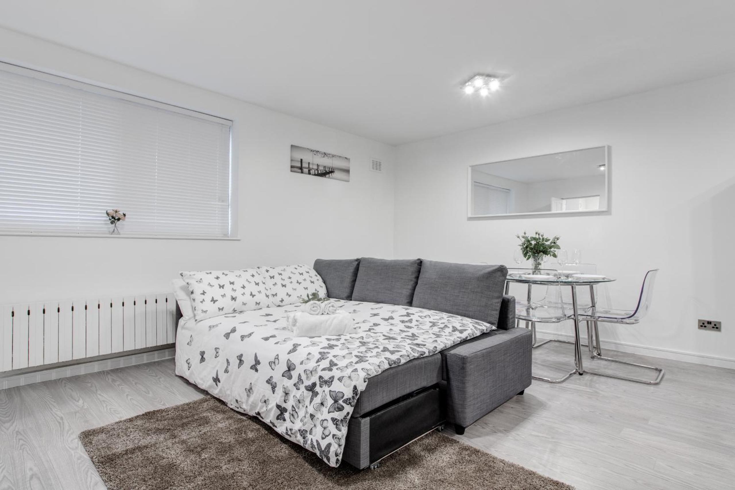 Standard One-Bedroom Apartment photo 1