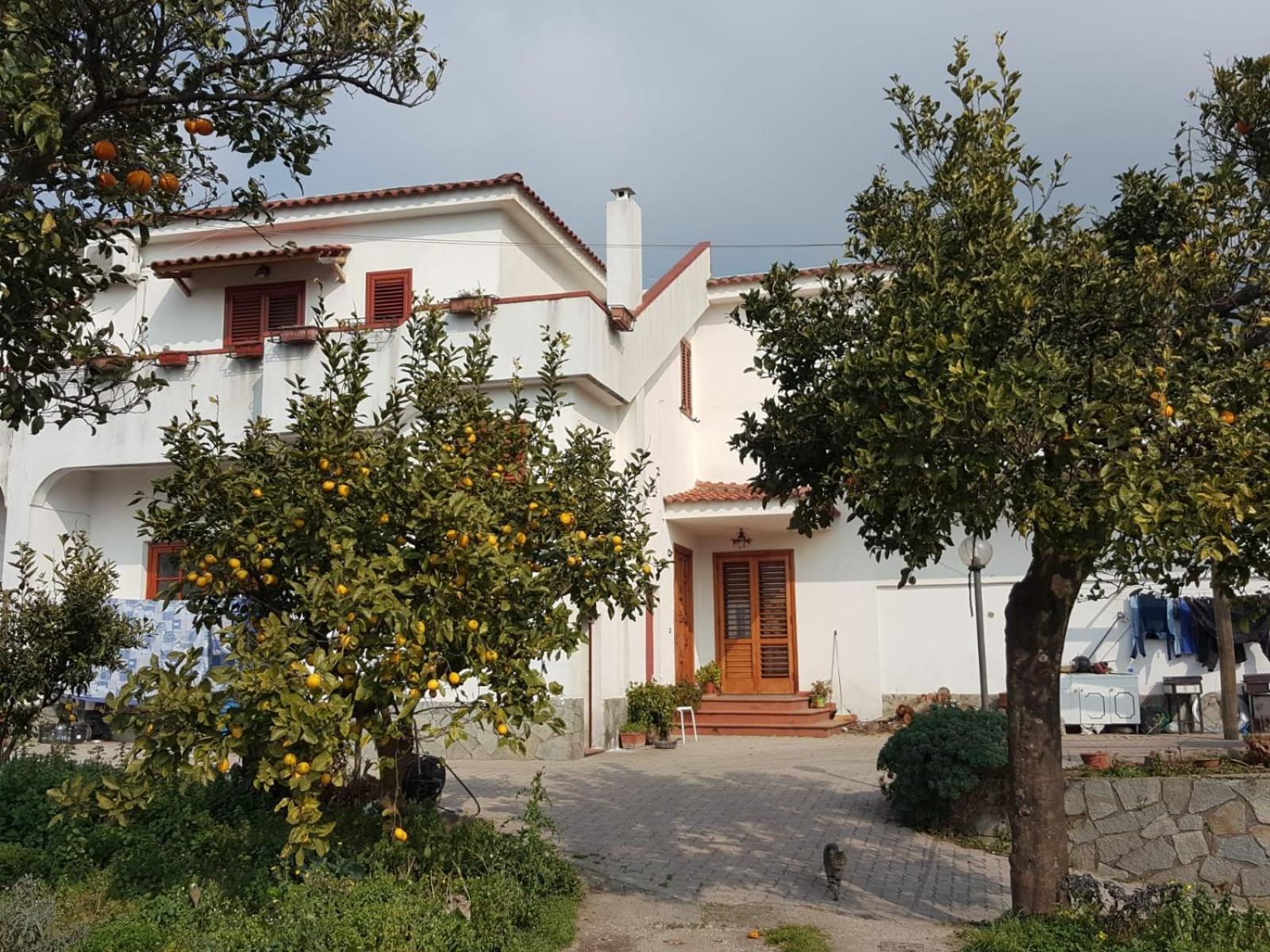 One-Bedroom House photo 3