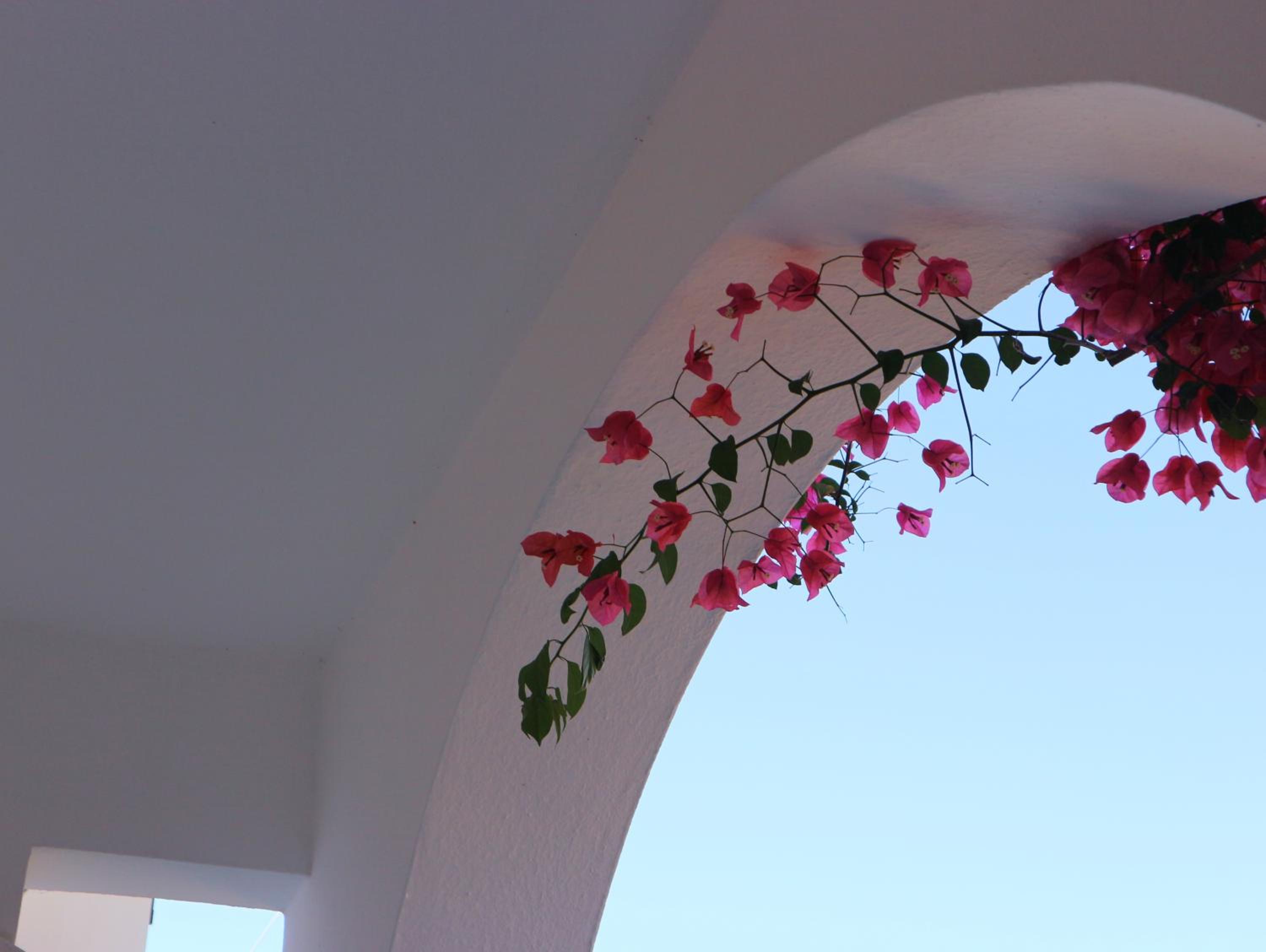 Apartment with Balcony photo 2