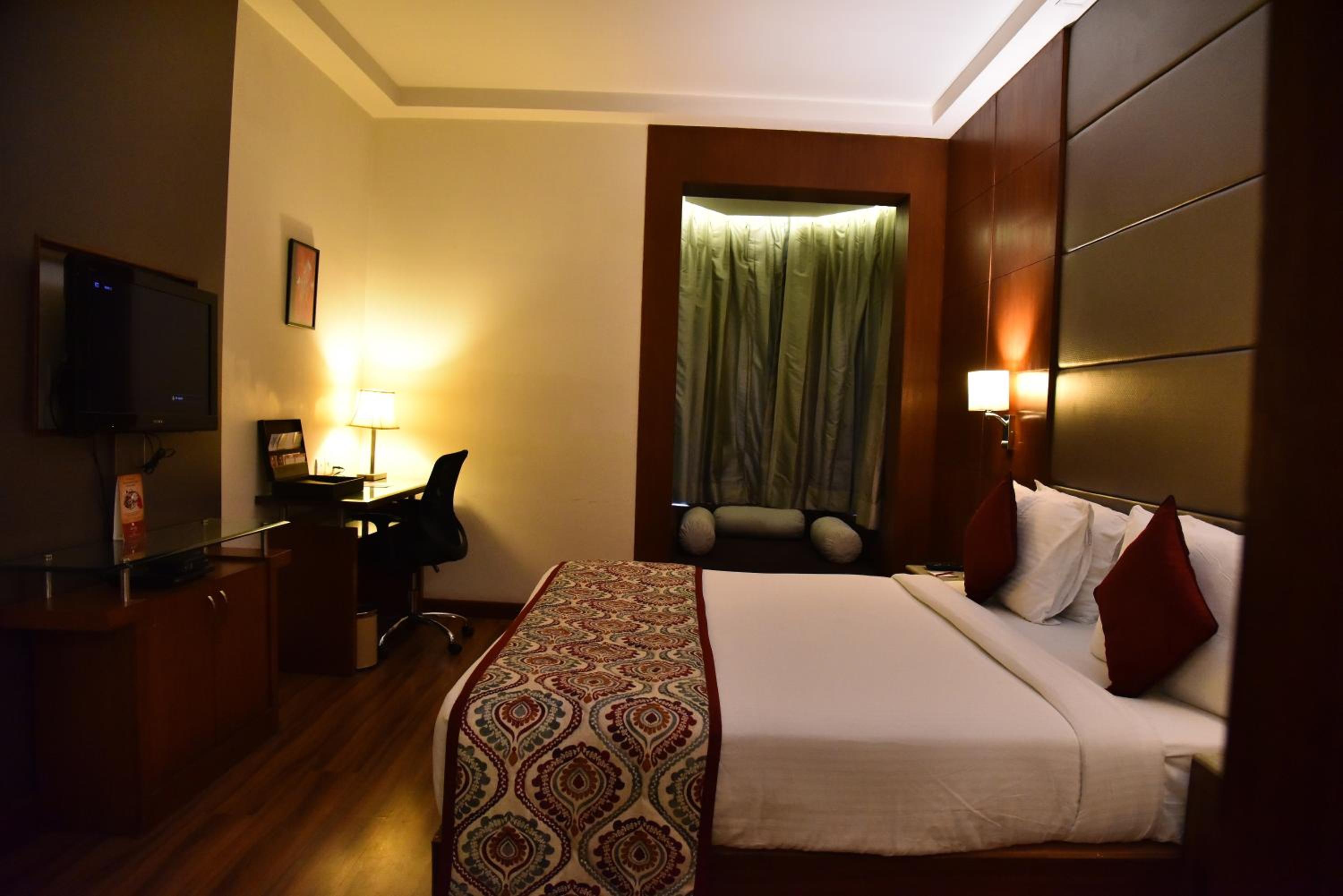 Suite - Photo 1