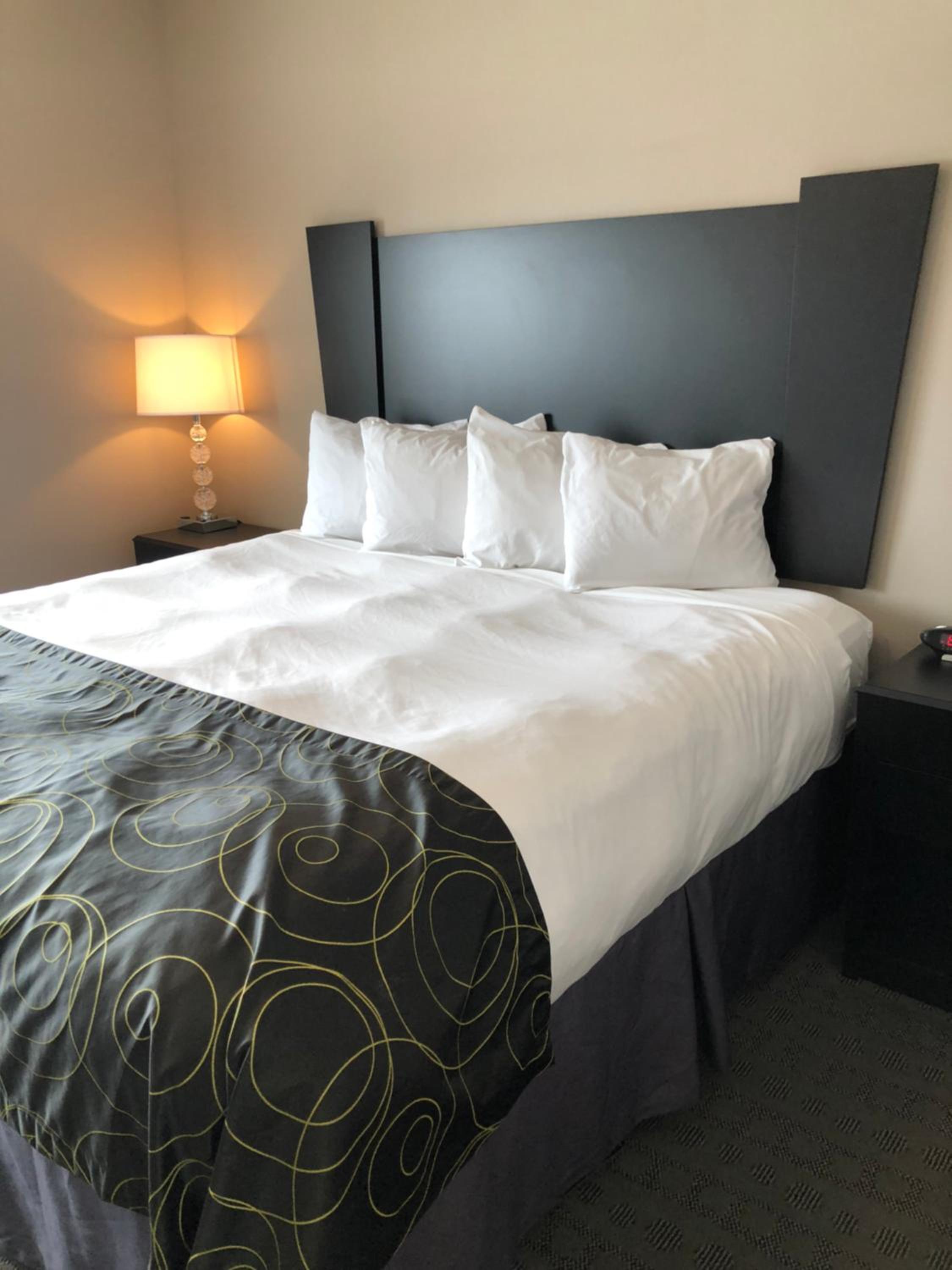 Executive Suite photo 1