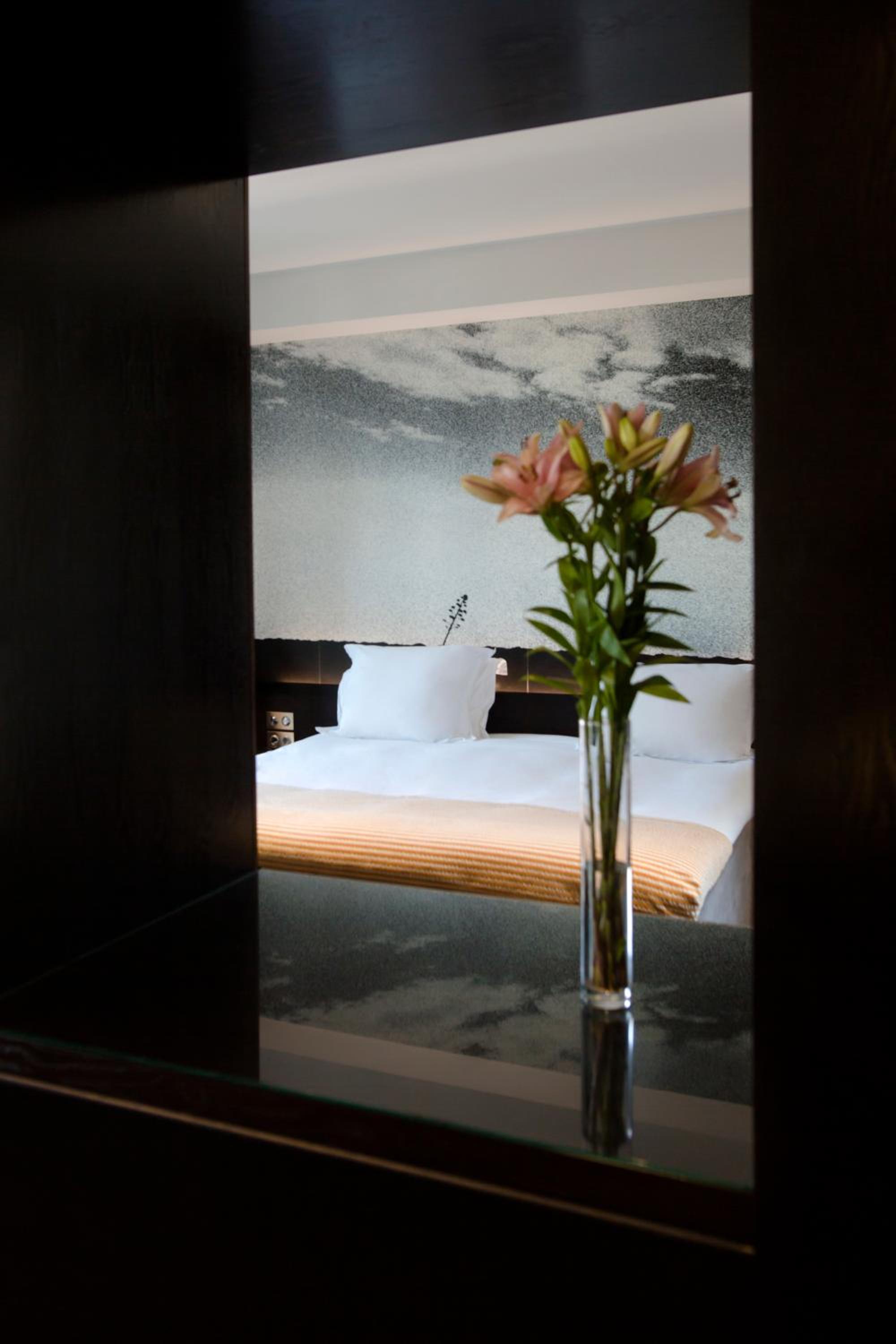 Suite - Photo 1