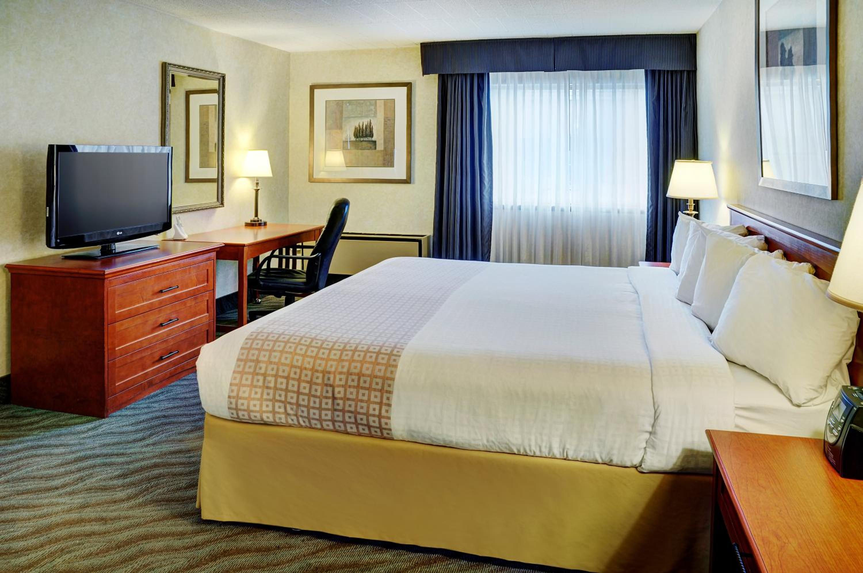 Queen Room with Sofa Bed - Pet Friendly/First Floor - Photo 3