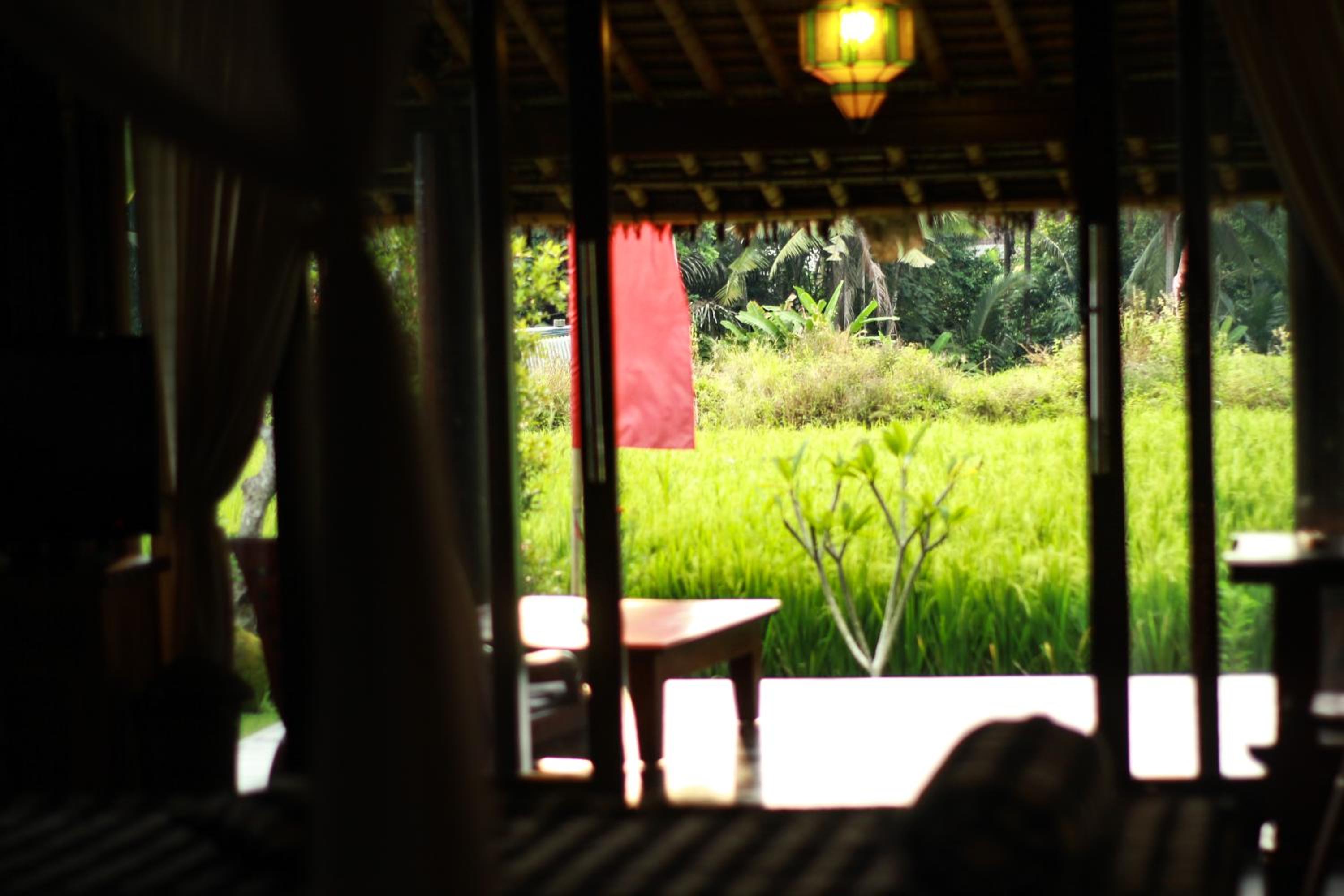 Family Bungalow - Photo 18